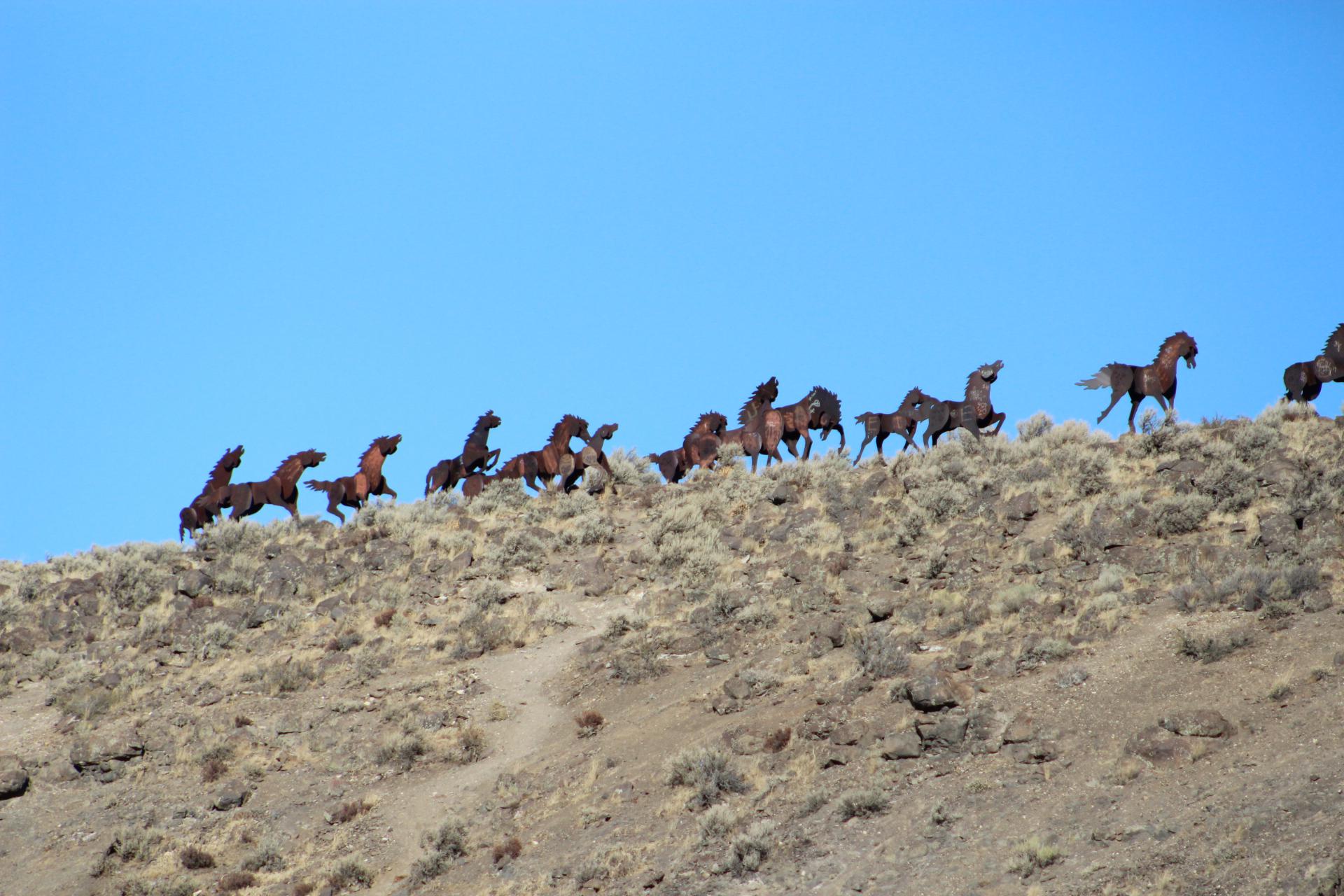 Wild Horse Monument. Washington state. r/pics