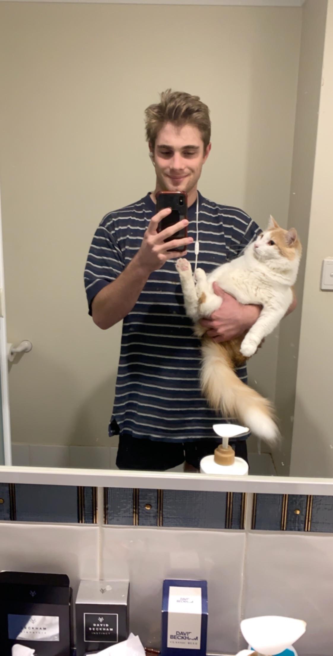 Me and my Roommates cat bonding r/aww