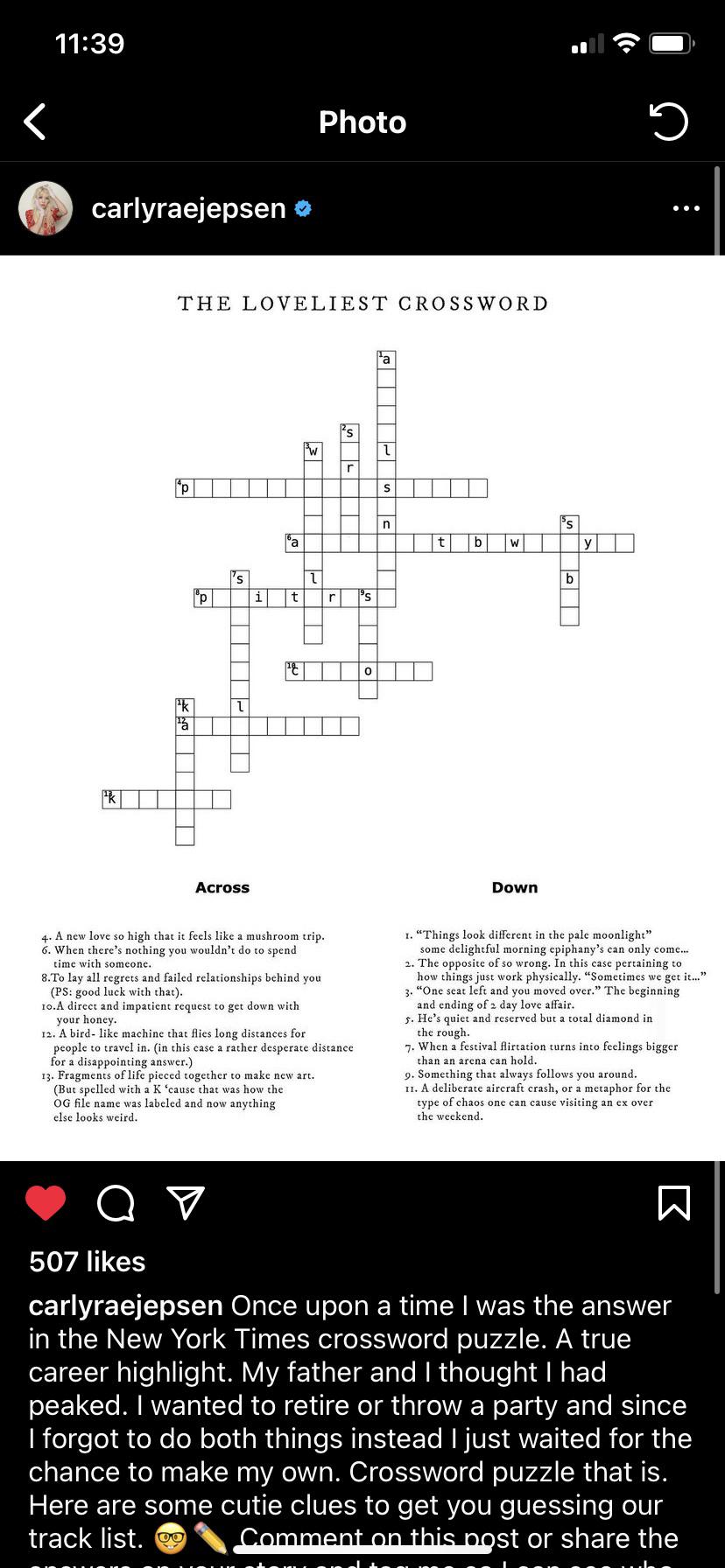 is anyone here good ad crossword puzzles : r/carlyraejepsen