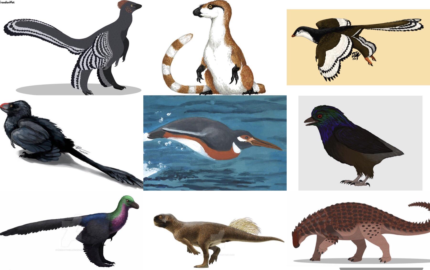 The 9 dinosaurs we know the coloring of r/Dinosaurs