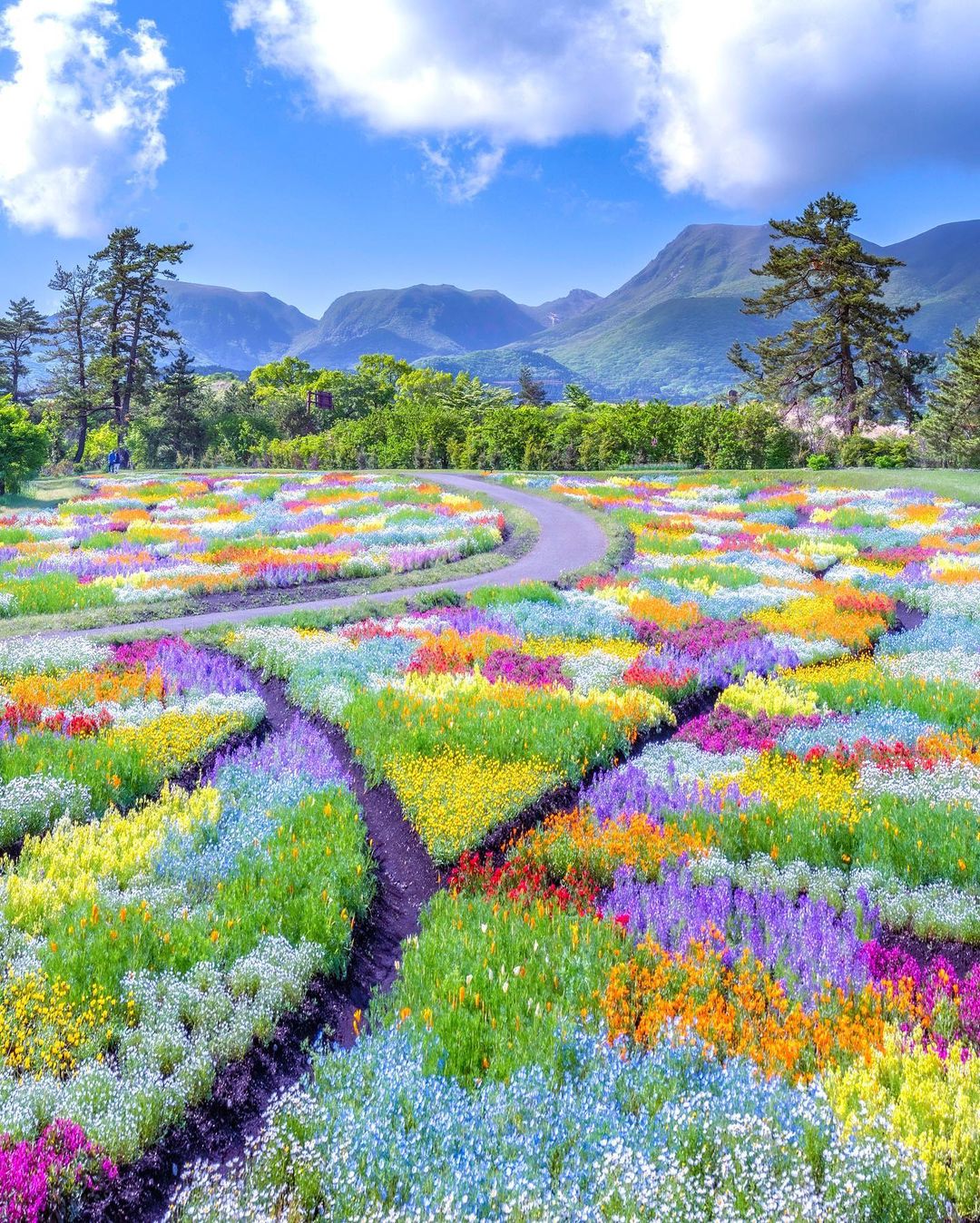 Kuju Flower Park in Oita, Japan r/pics