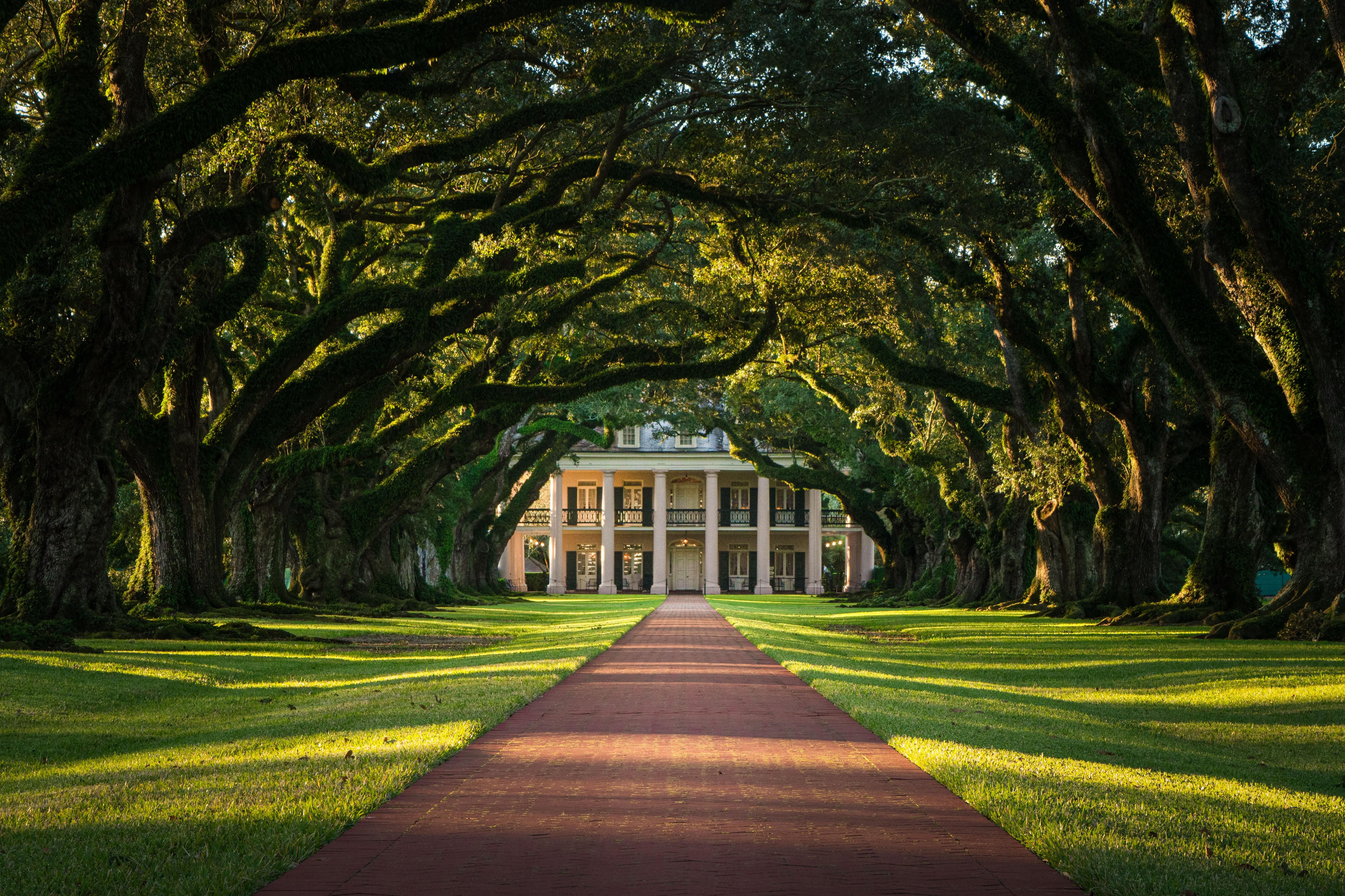 ITAP of that one plantation from Django r/itookapicture