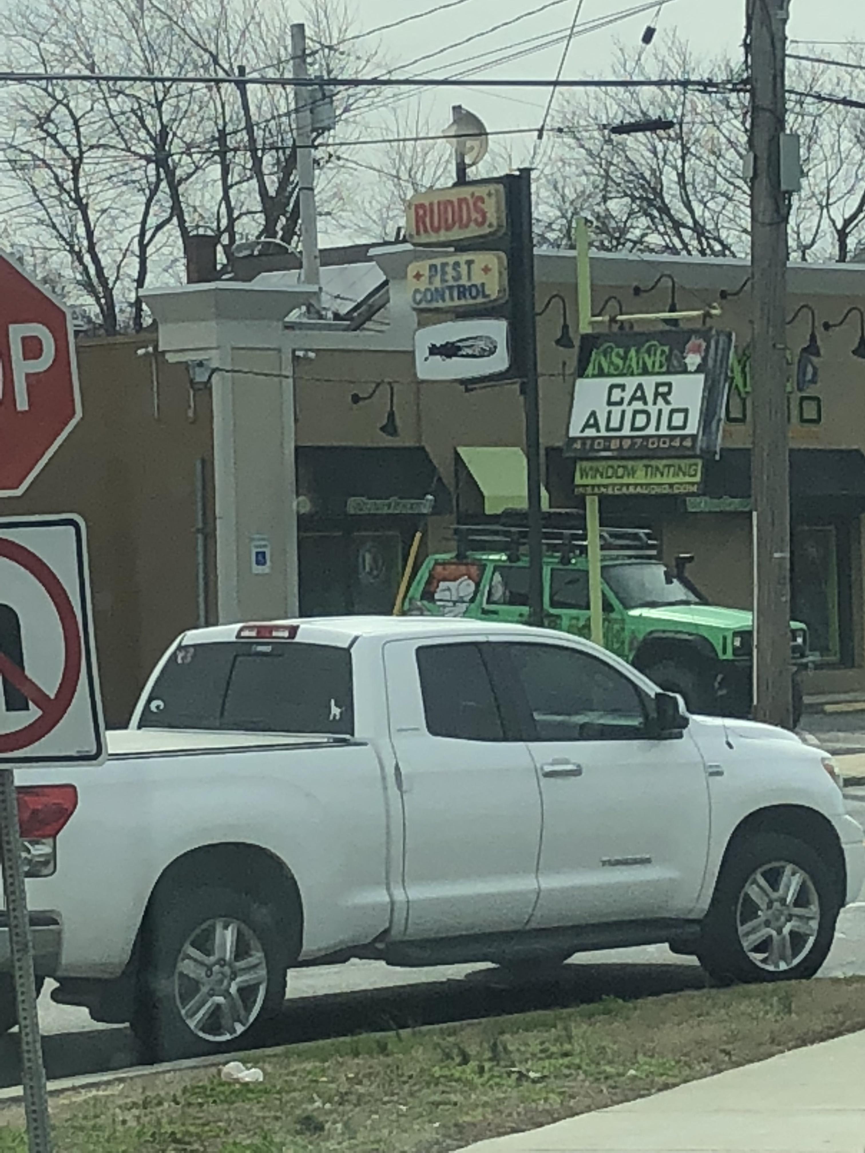 Possible a sign for Cicada? Saw this in Annapolis MD intersection of