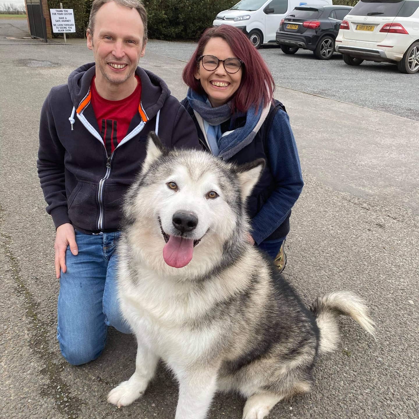 245 best r/malamute images on Pholder RIP Phil 💔