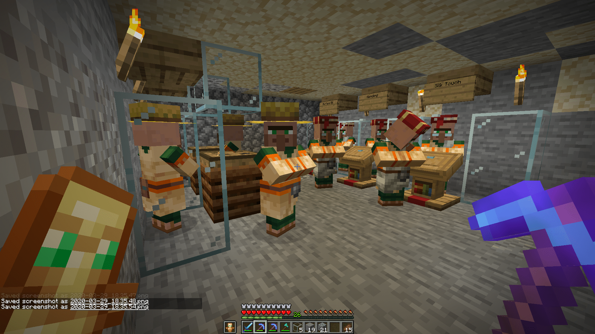 Why are my villagers growing up with professions? r/Minecraft