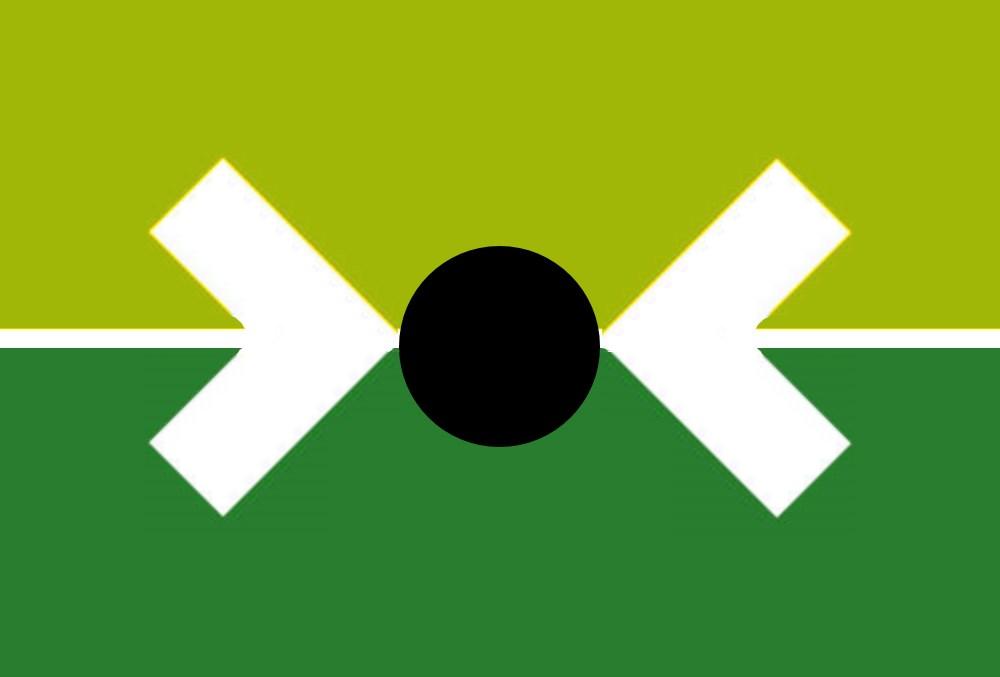 The new flag is just based on that TED talk too much, here's my CP flag