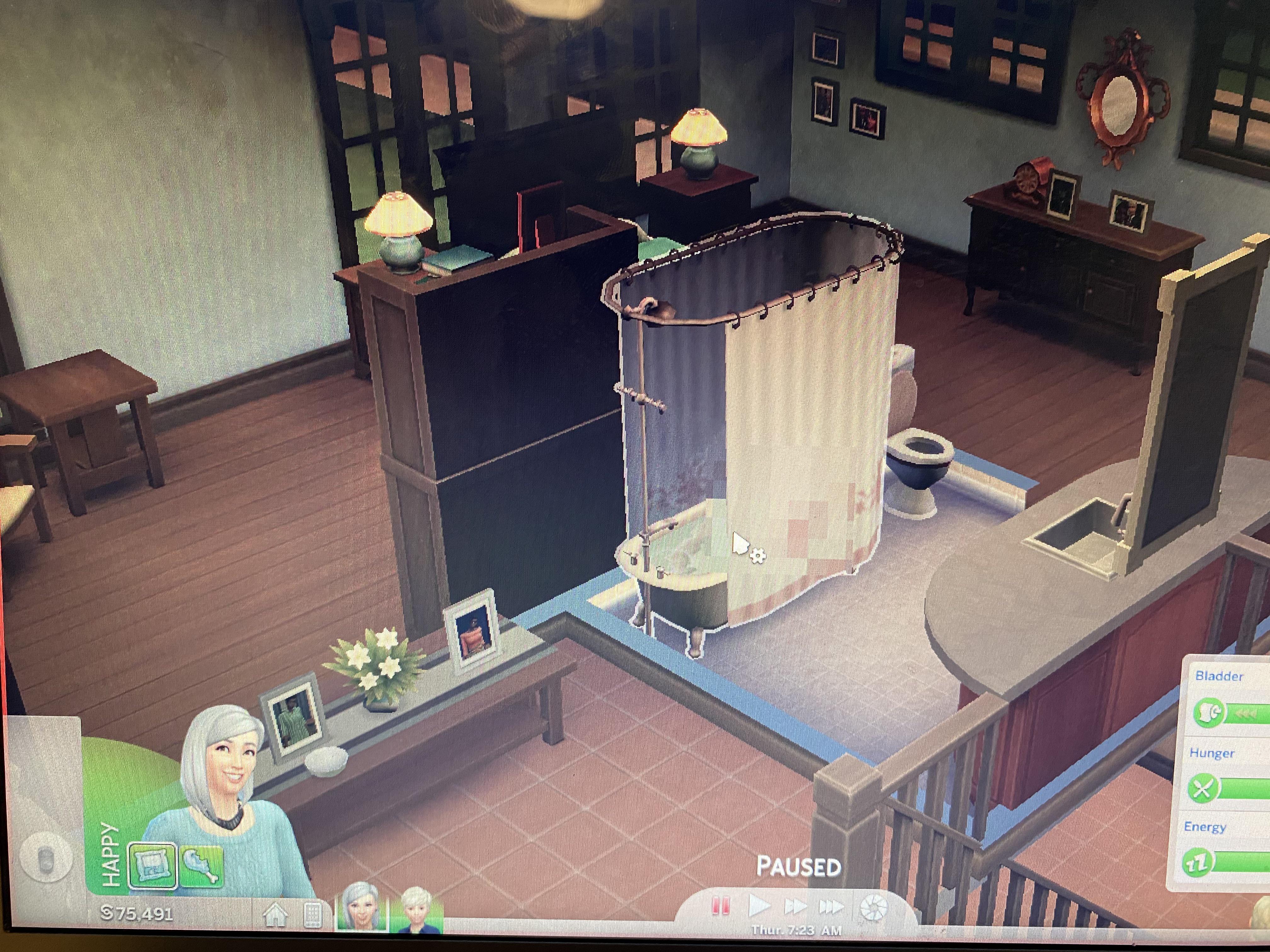 Anyone else got this glitch when your sim gets in the bath to drink