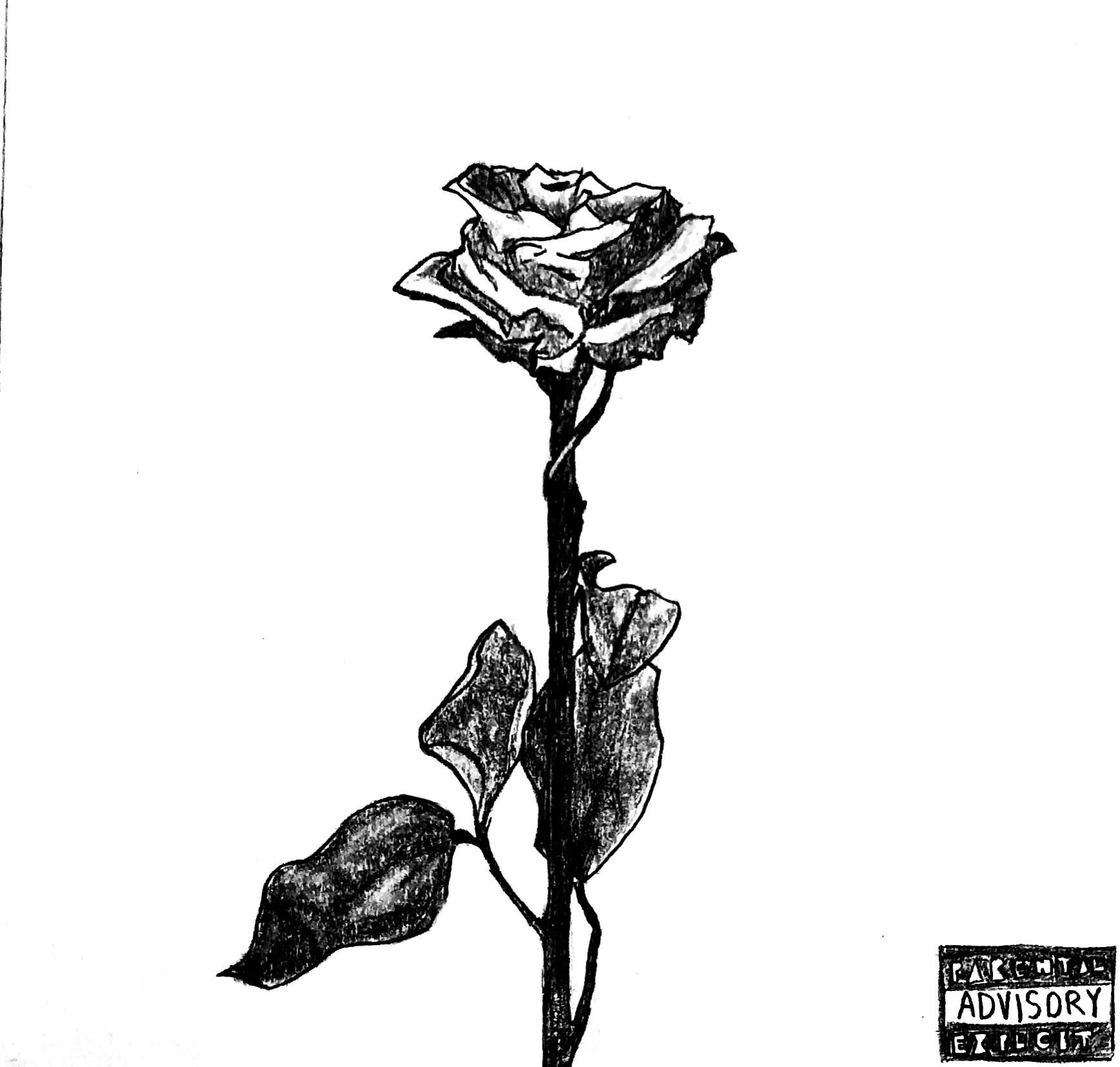 a dozen dead roses r/Blackbear
