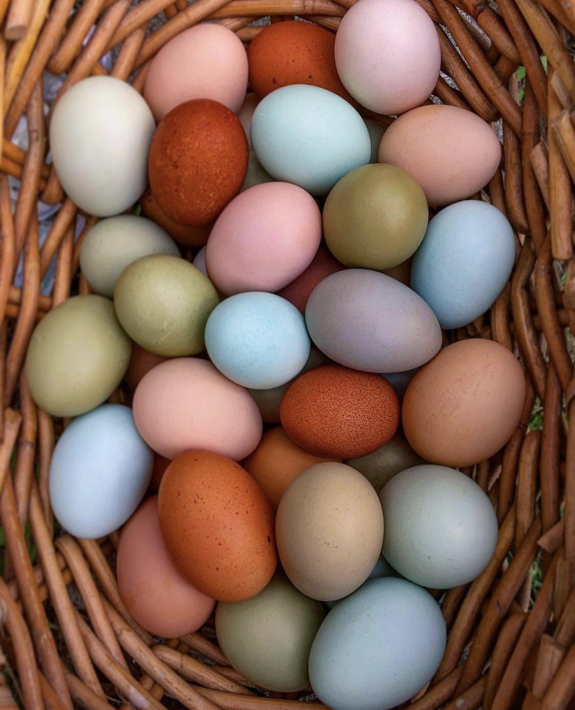 Rainbow Eggs r/oddlysatisfying