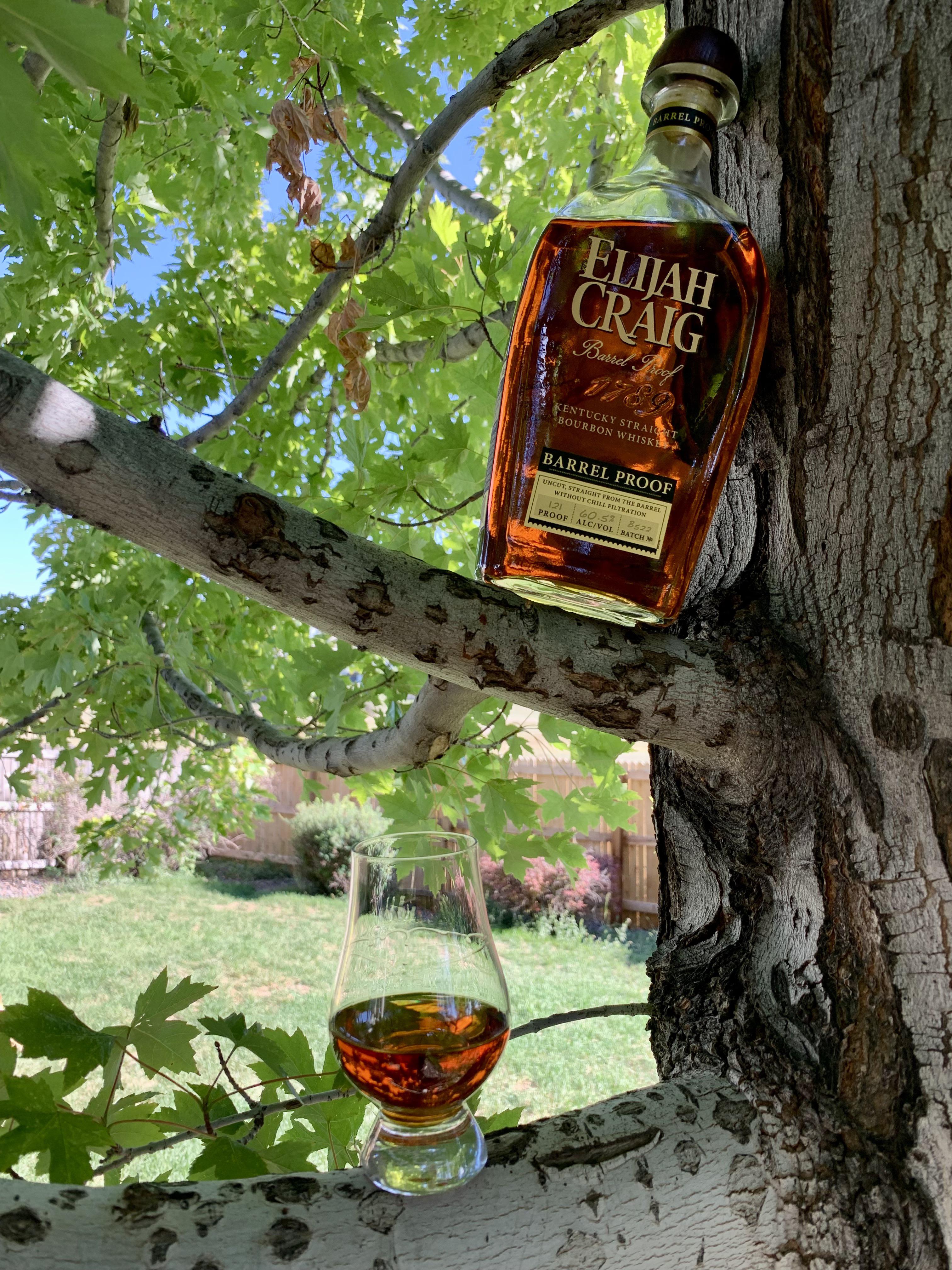 Review 147 Elijah Craig Barrel Proof B522 r/bourbon