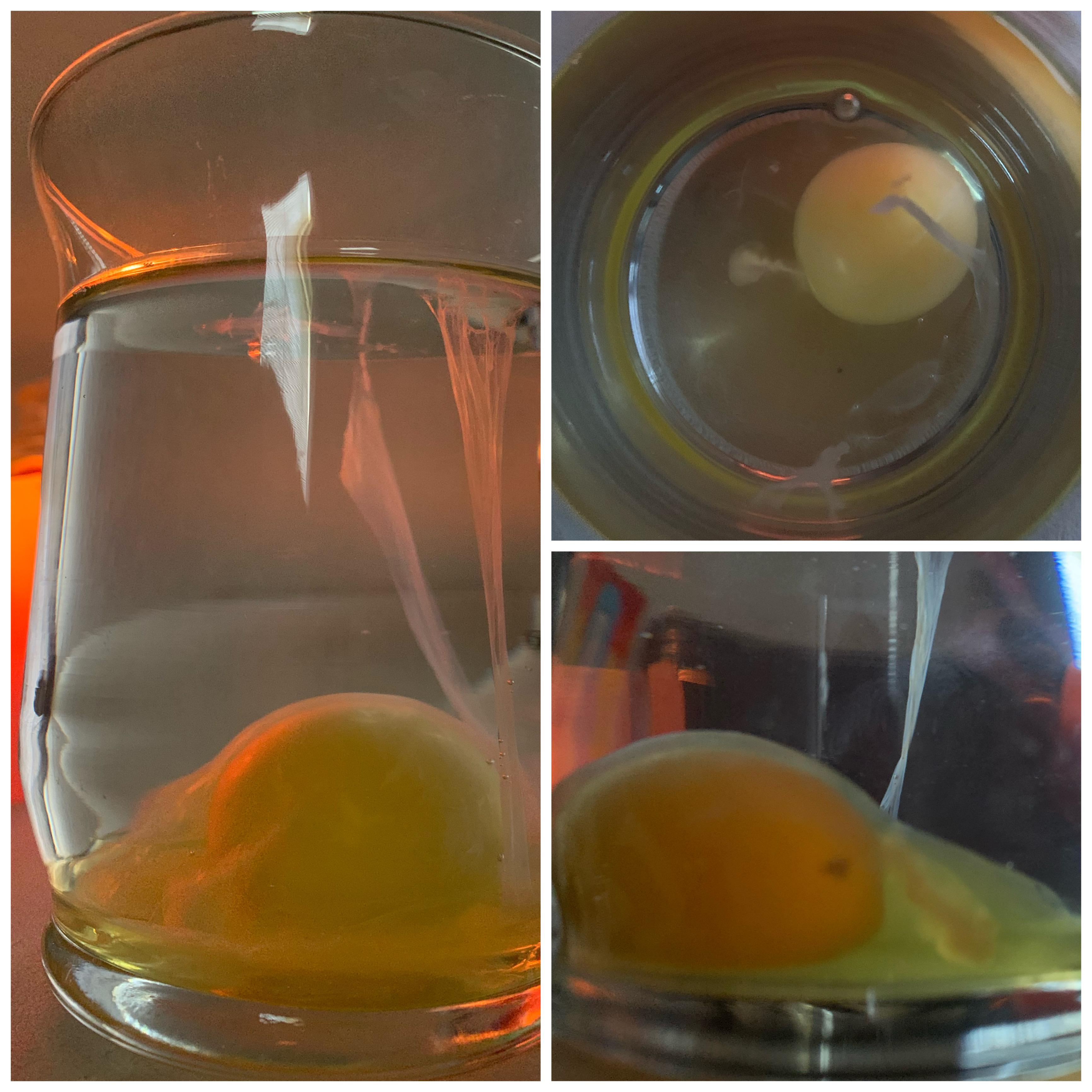 Please help interpret this spiritual egg cleansing!! ( i’m sorry for
