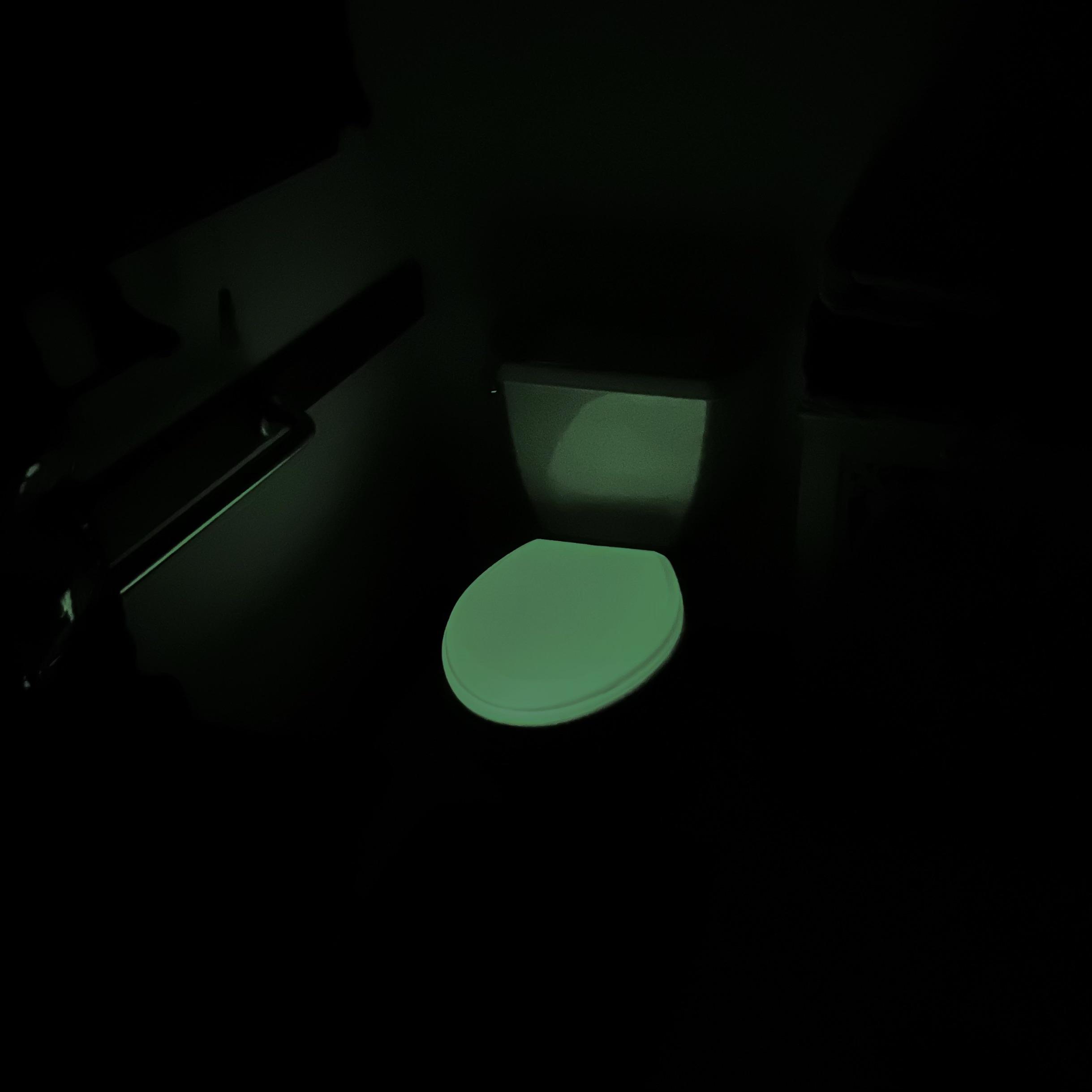Airbnb I’m staying at has a glow in the dark toilet seat.