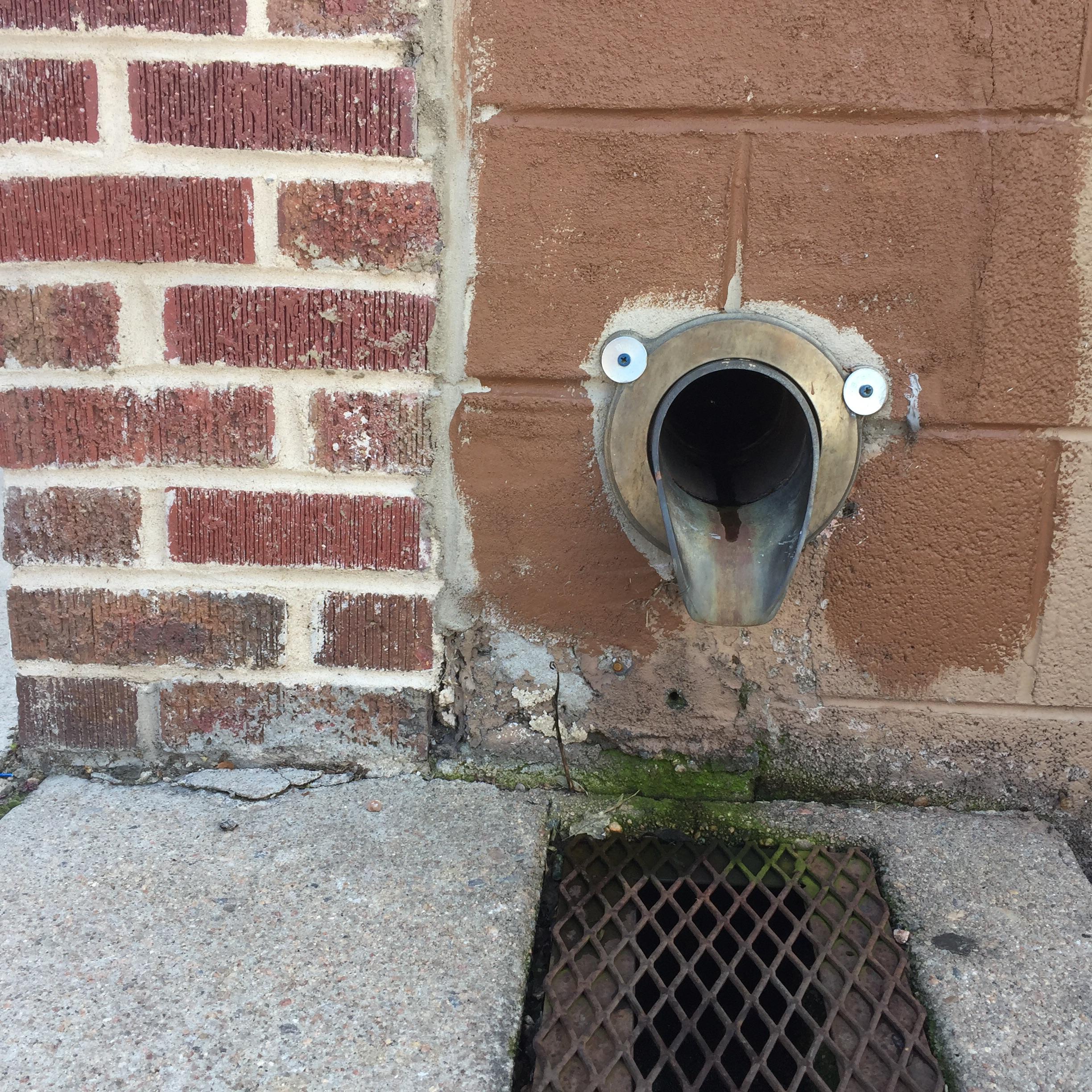 This drain pipe outside of Starbucks r/Pareidolia