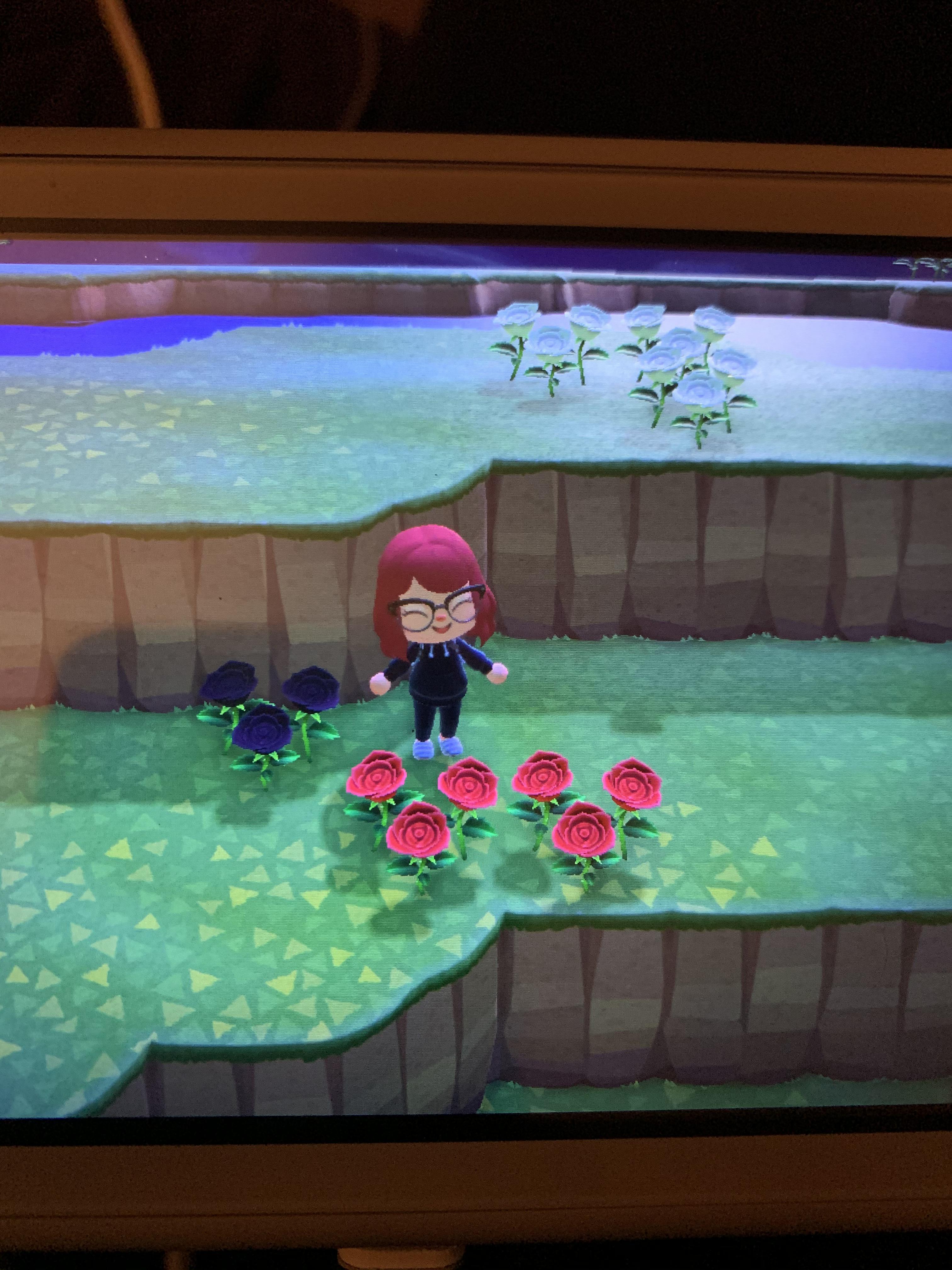 Got some random black roses? Any idea how they spawn? r/AnimalCrossing