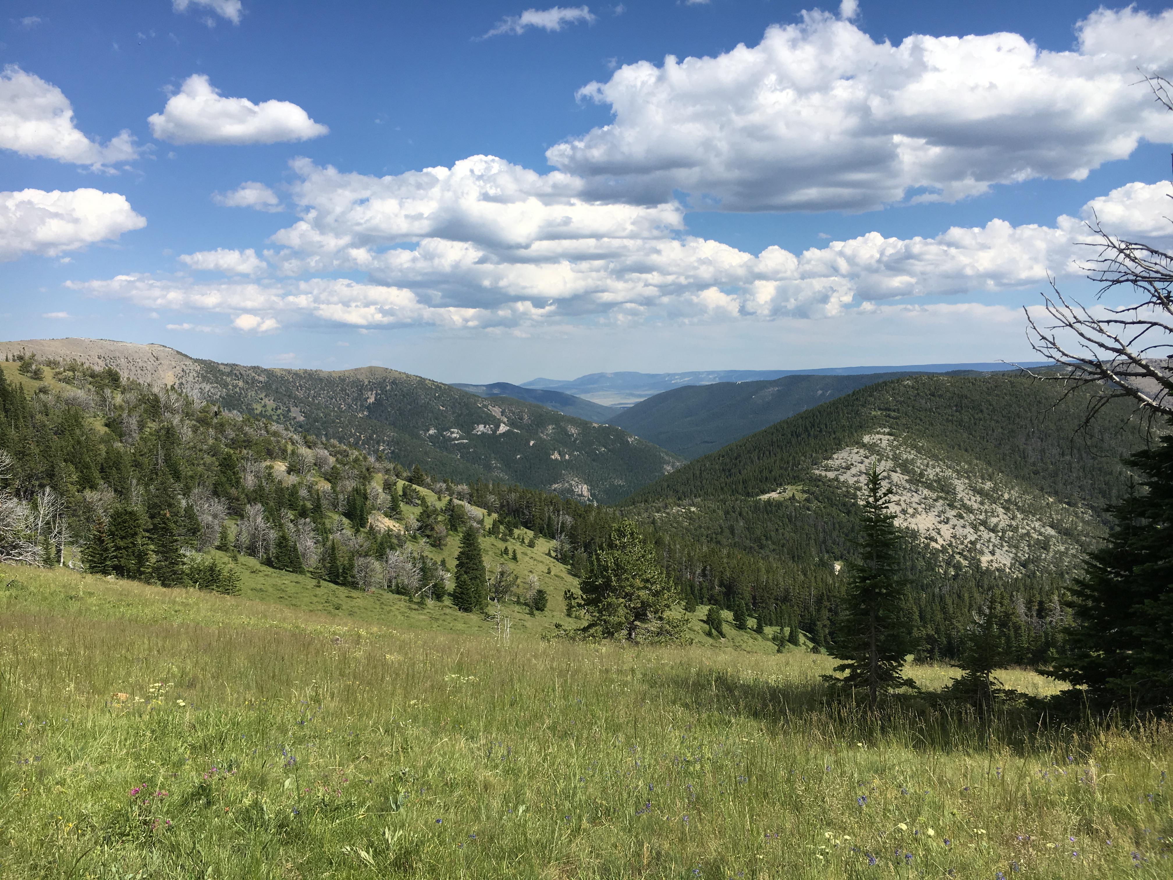Little Belt Mountains r/Montana