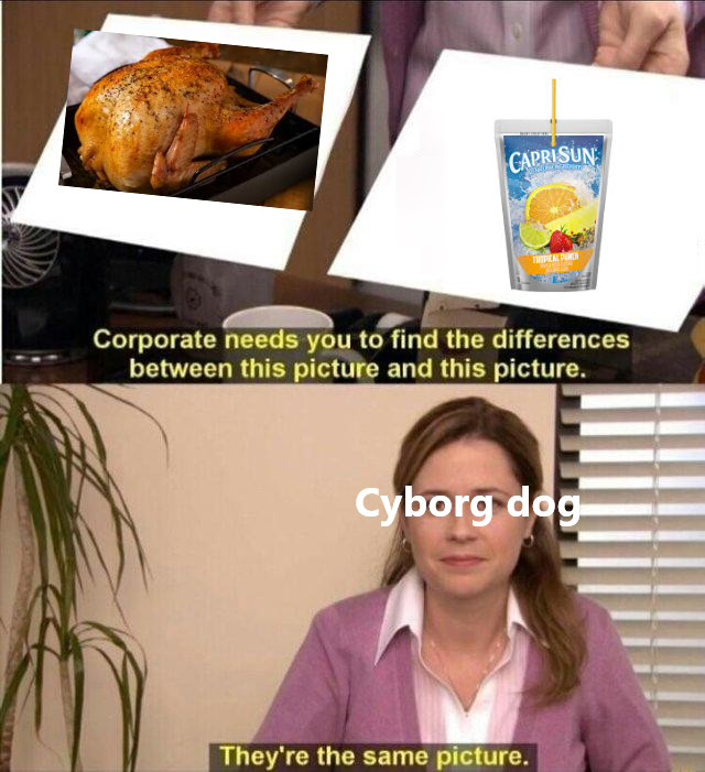 out of context meme 7 DankMemesFromSite19