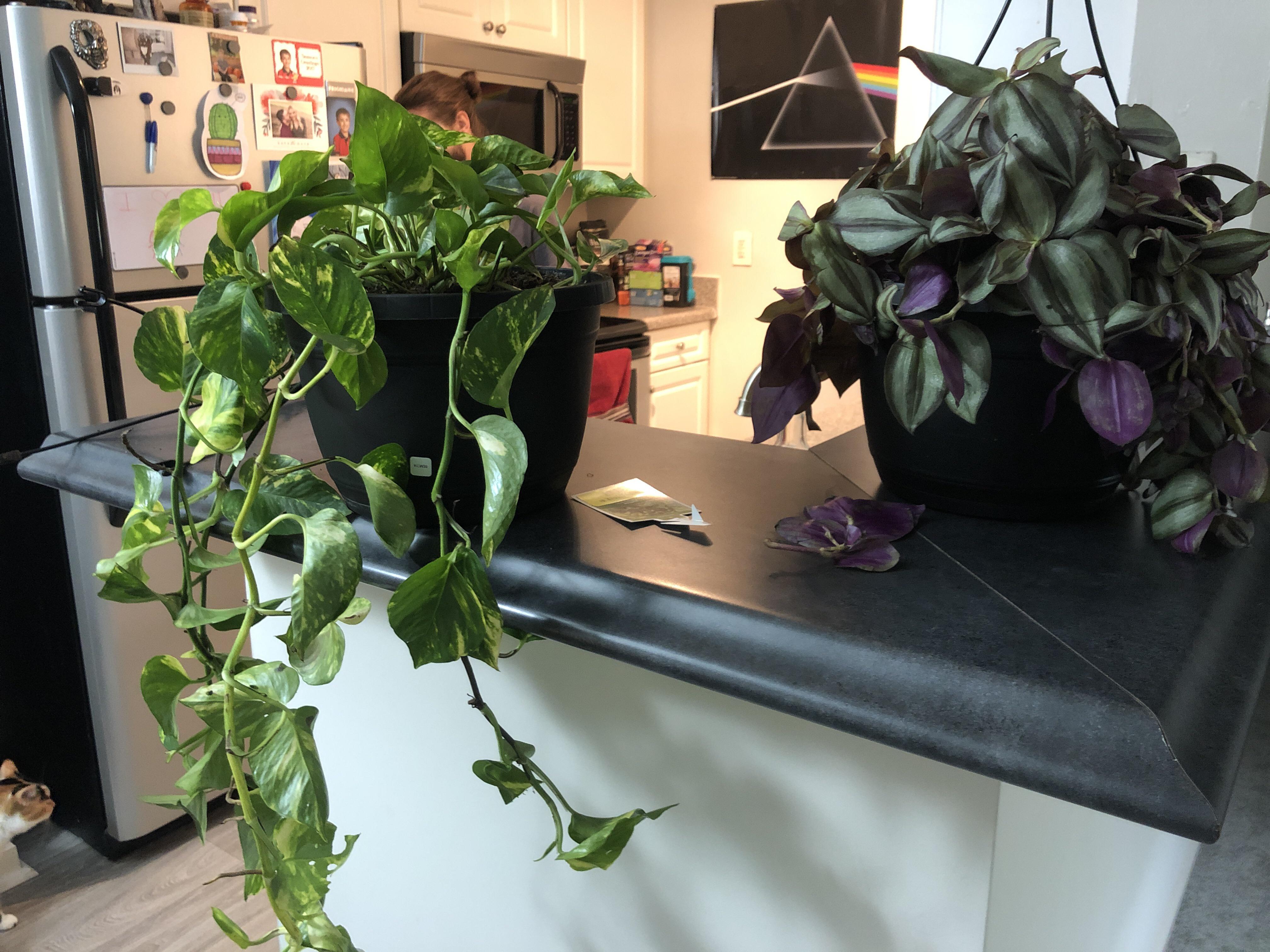 33 days sober and my boyfriend surprised me with a few of my favorite