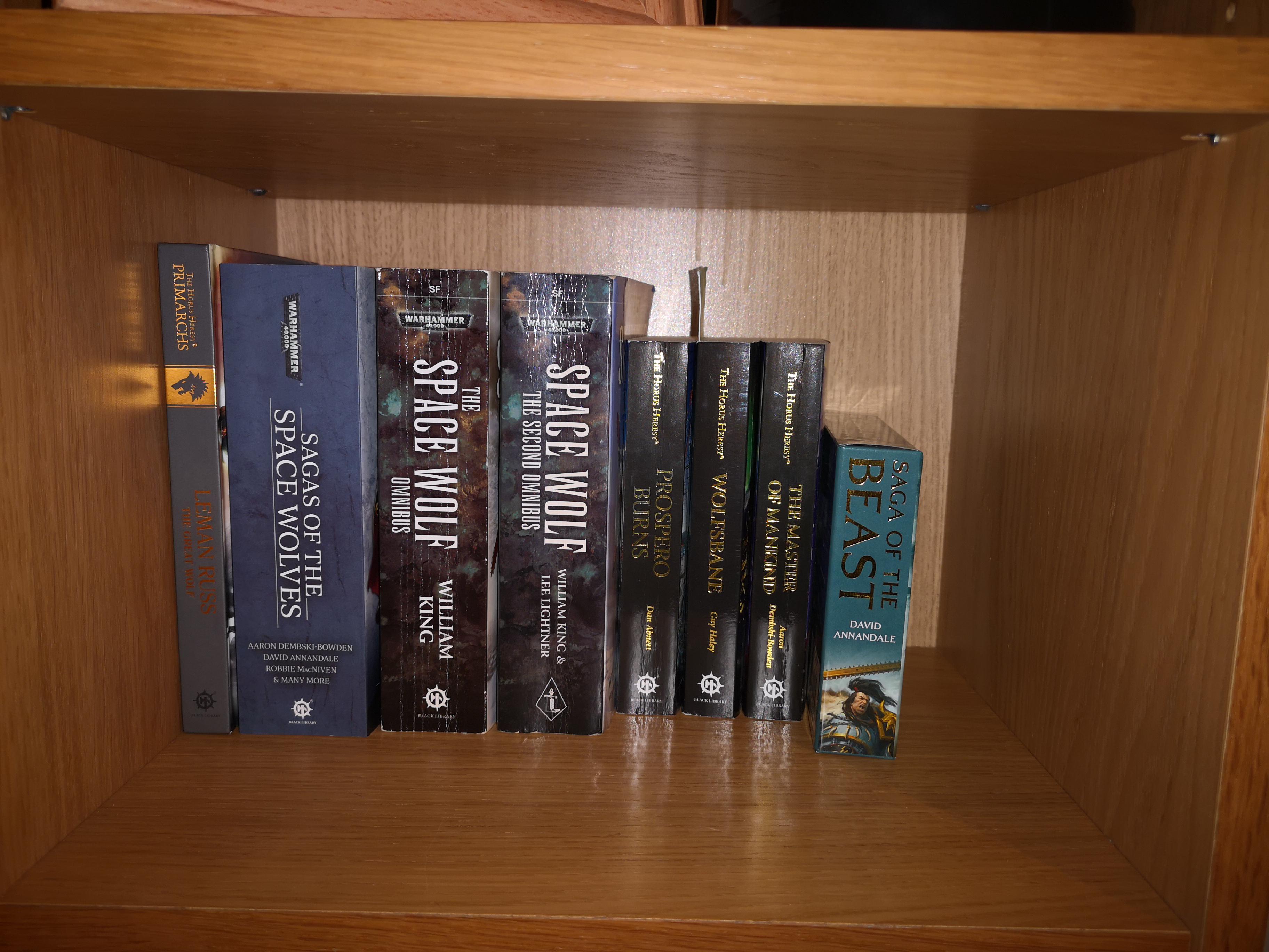 My own 40k library is slowly growing. I do have a preference but I'm
