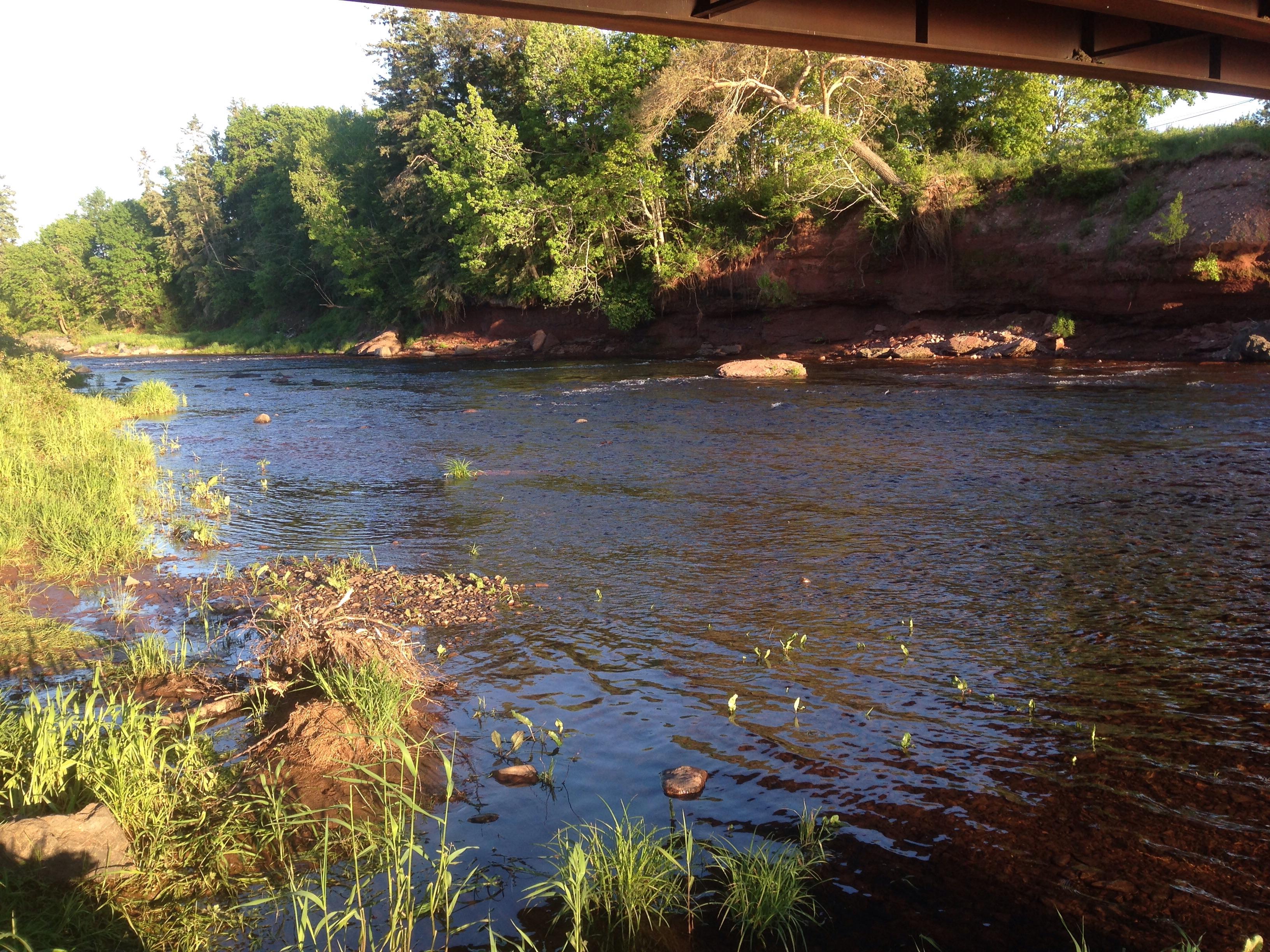 Salmon River r/NovaScotia