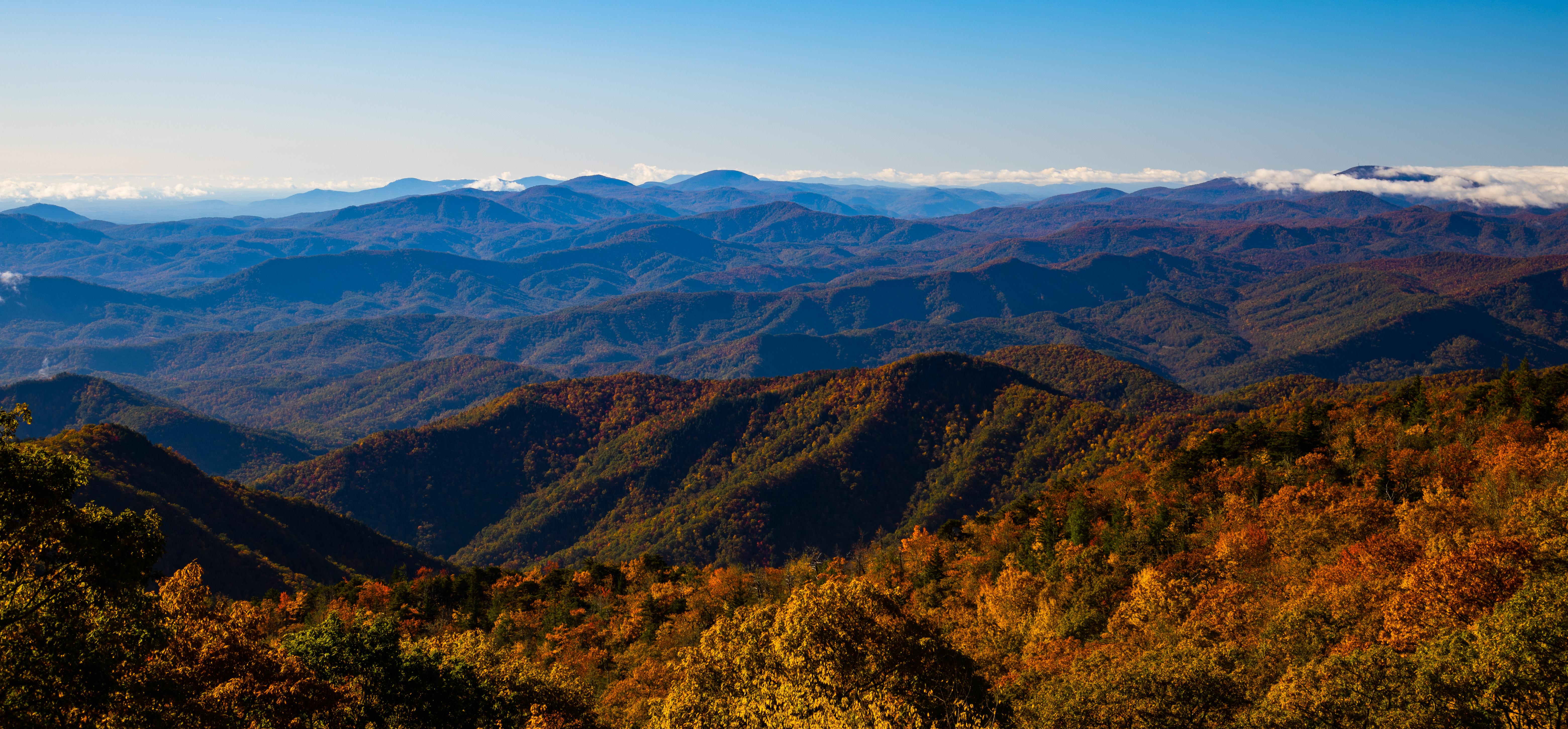 The Blue Ridge Mountains of NC [OC][2904x6240] r/EarthPorn
