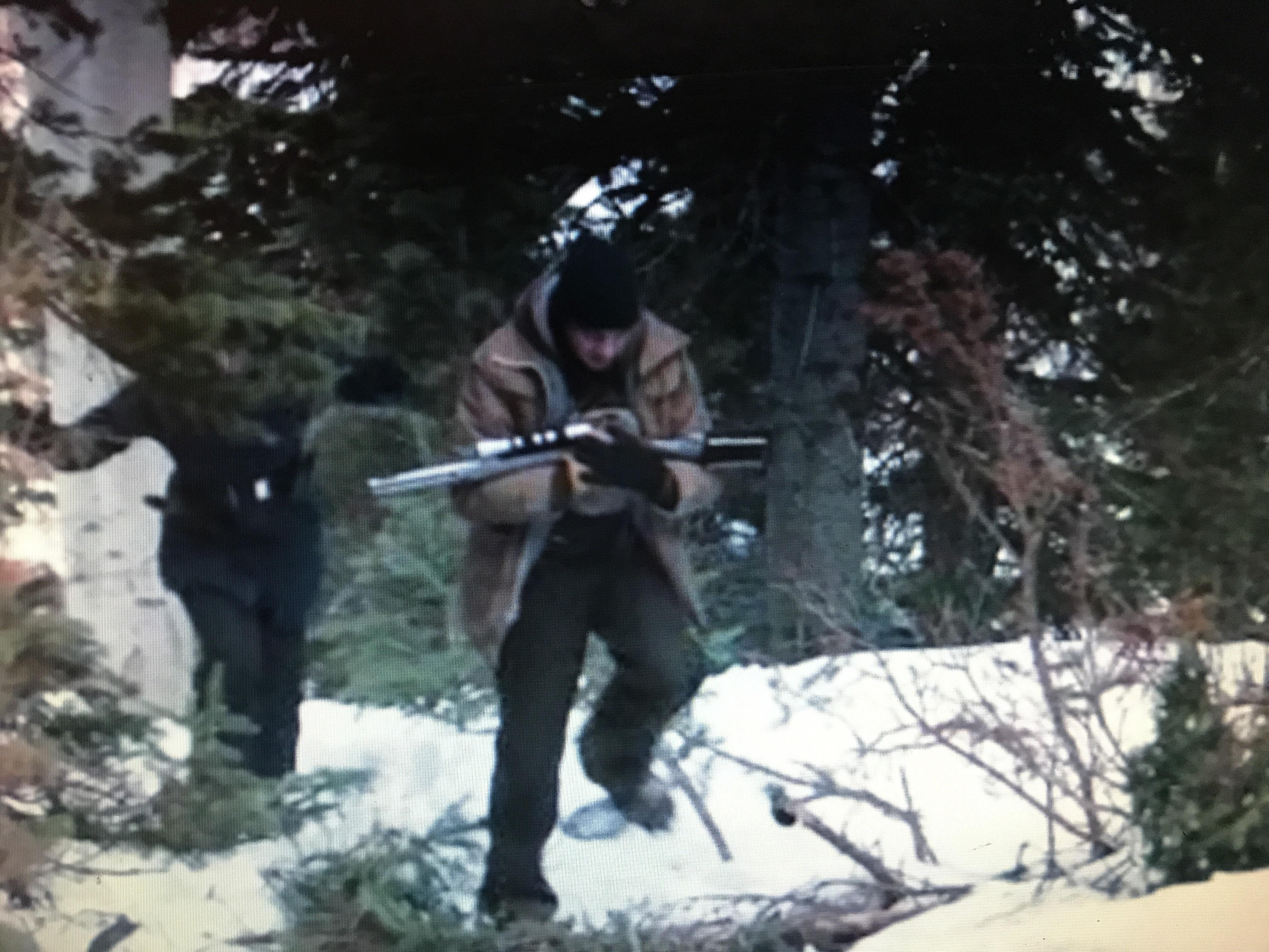 Cradle carry with two arms? Anyone seem the movie Wind River, in the