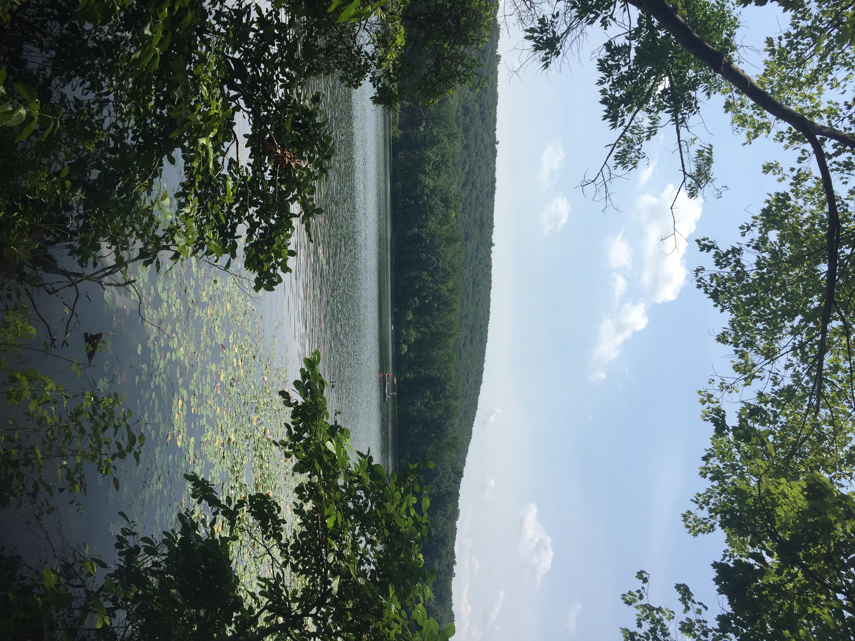 French Creek State Park an hours drive but a worlds away. r/philadelphia