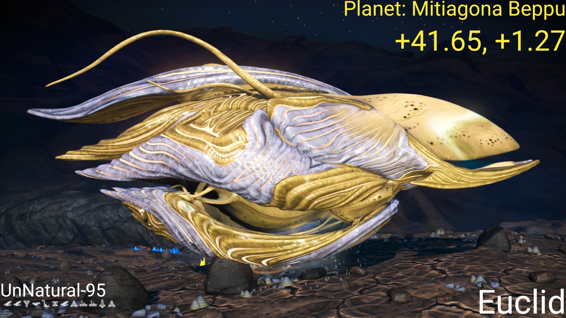 736 best Living Ship images on Pholder No Mans Sky The Game, NMS