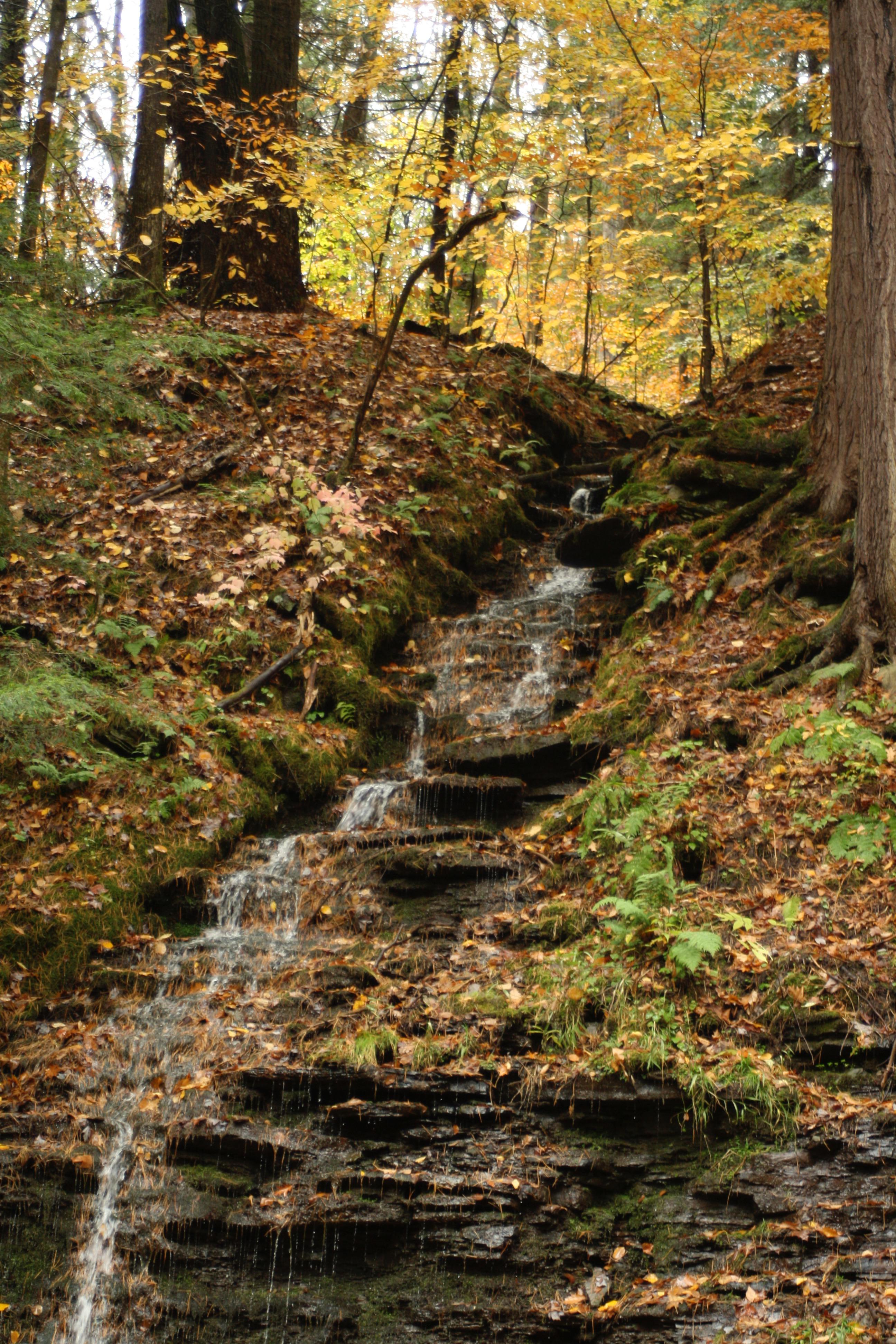 Bridal Falls, Allegany State Park, NY r/AutumnPorn