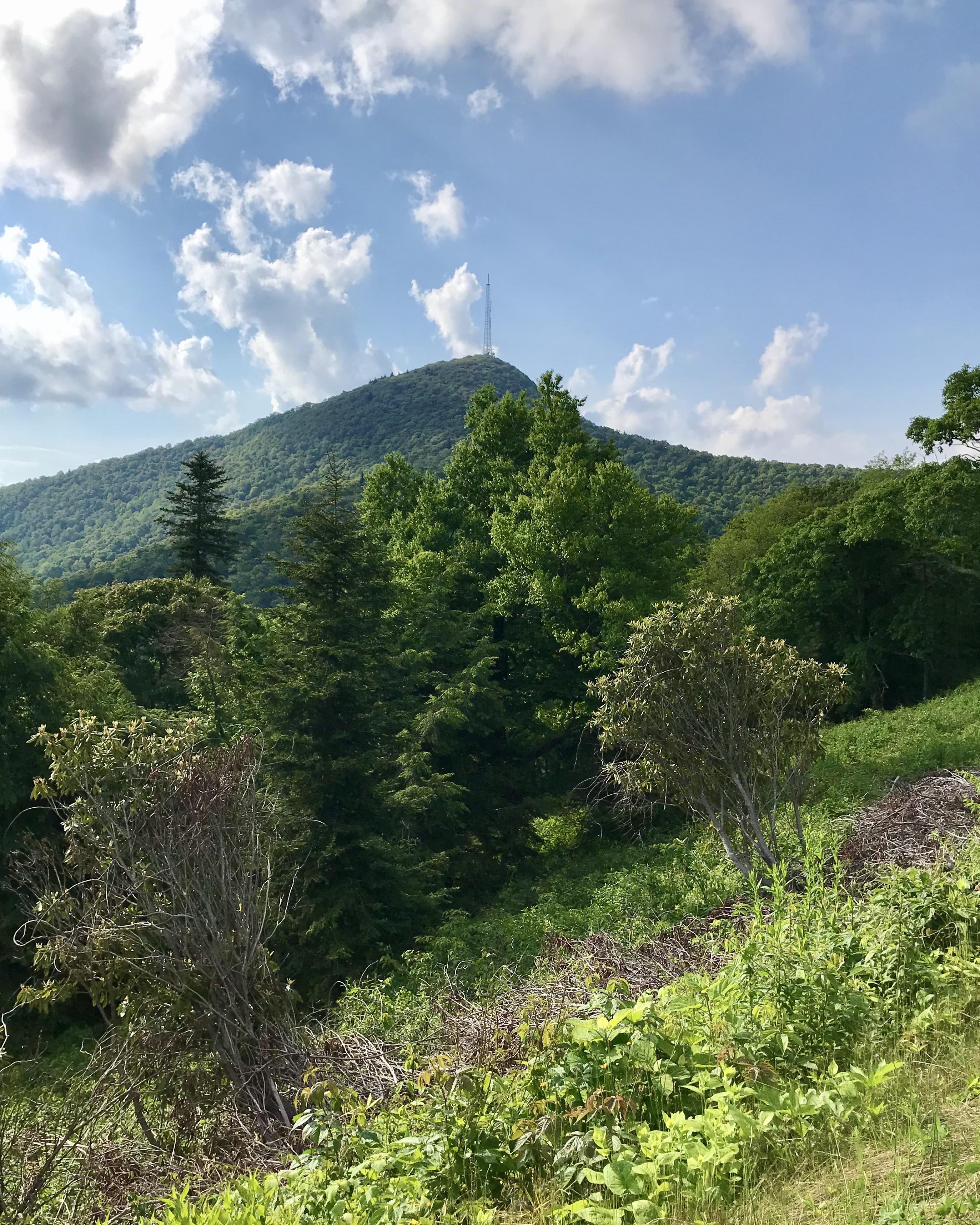 Mt. Pisgah today. The Cherokee tribes called it Elseetoss. Take the