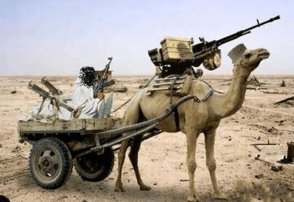 Heavy Camel Mount. (Picture is the fully upgraded version). The most expensive mount that can be