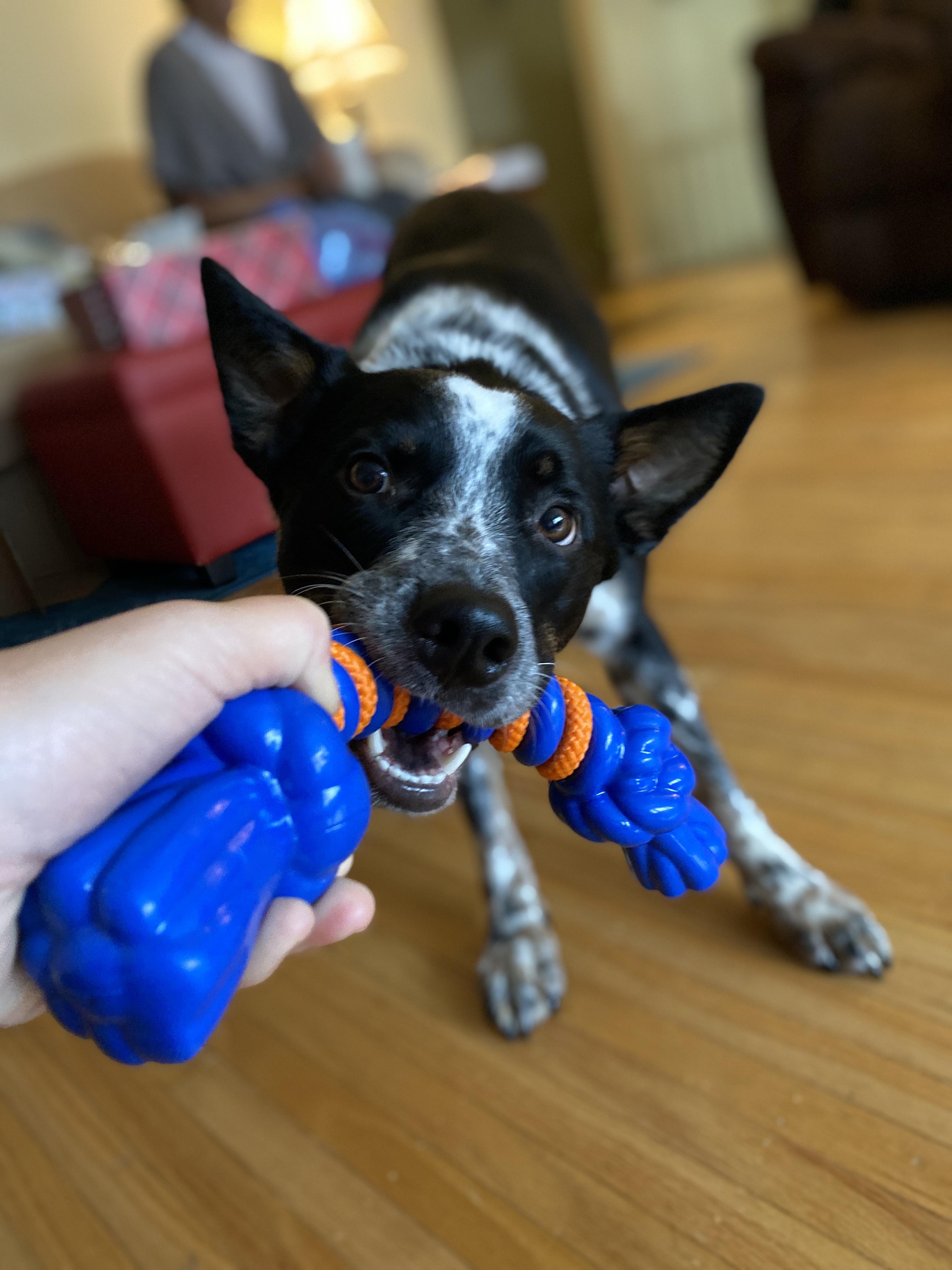 Christmas toys for all the nephews 💕 r/aww