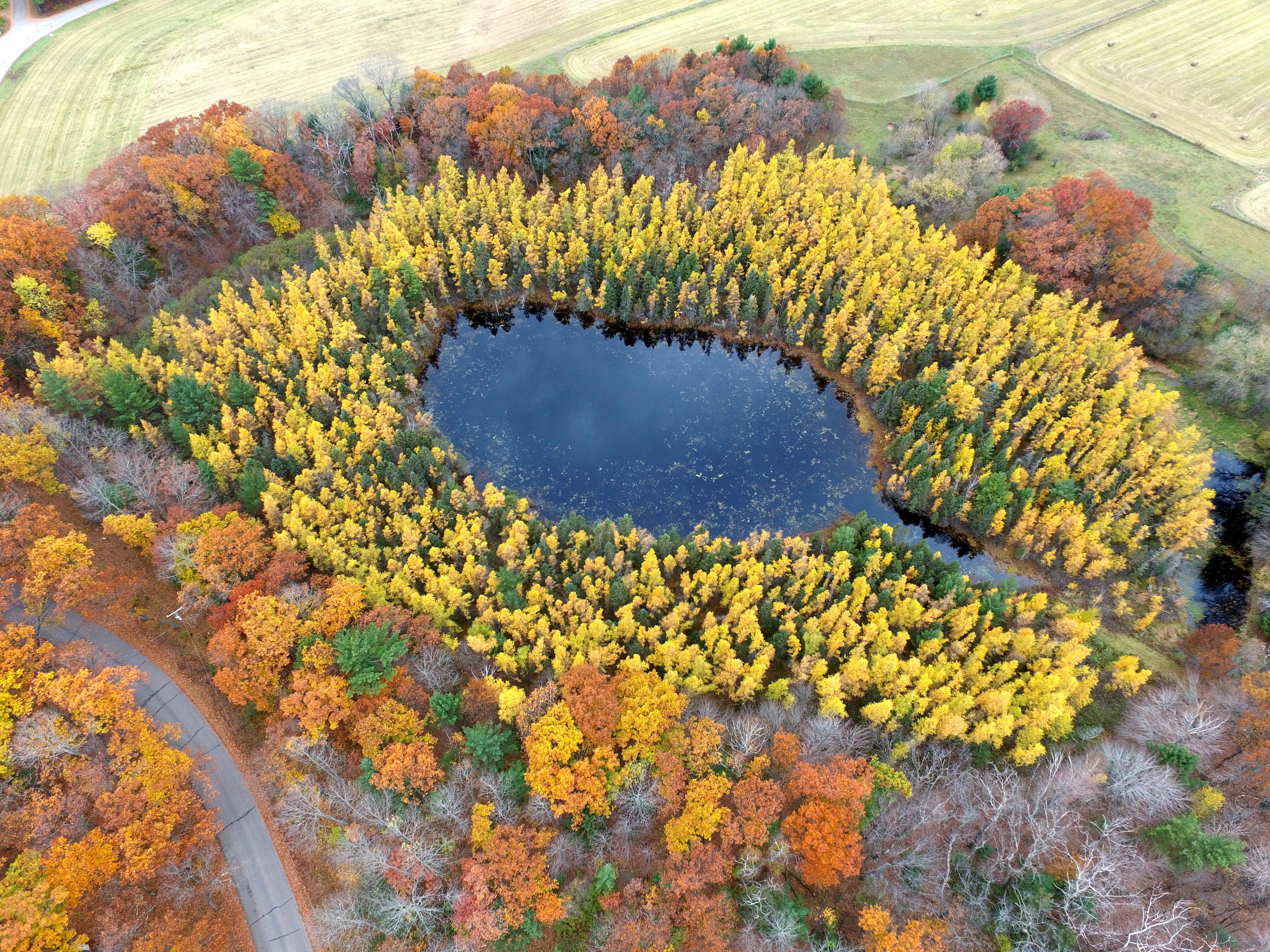Fall colors in Wisconsin r/djiphantom