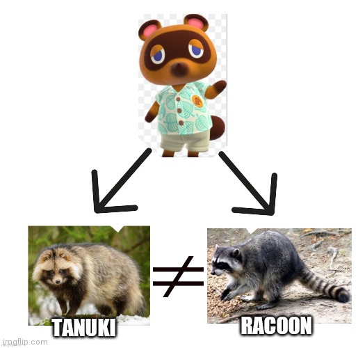 Last night, me and my gf had the stupidest argument about whether Tom