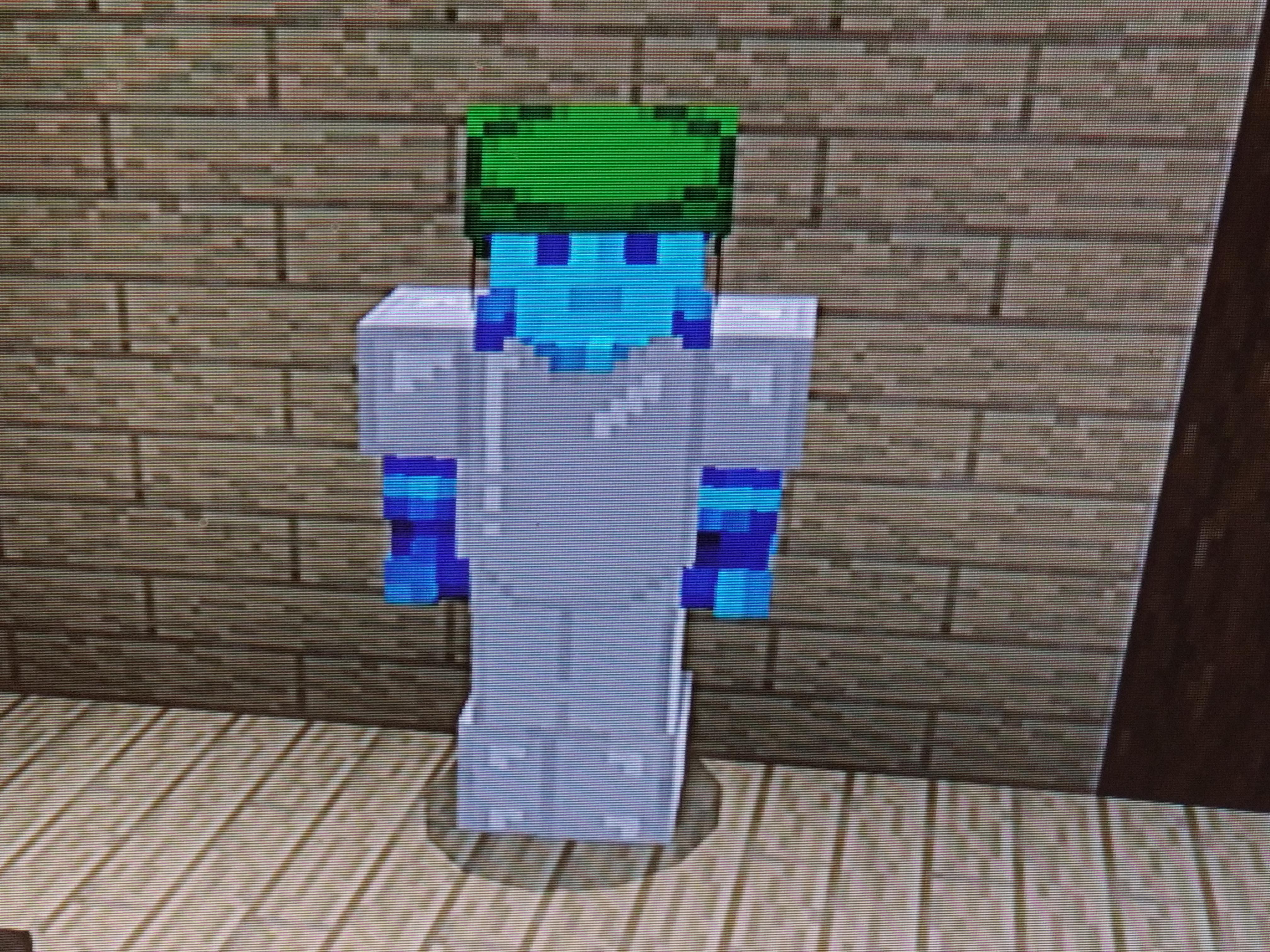 Got the Turtle Shell helmet! Any on what enchantments to put on it? r/Minecraft
