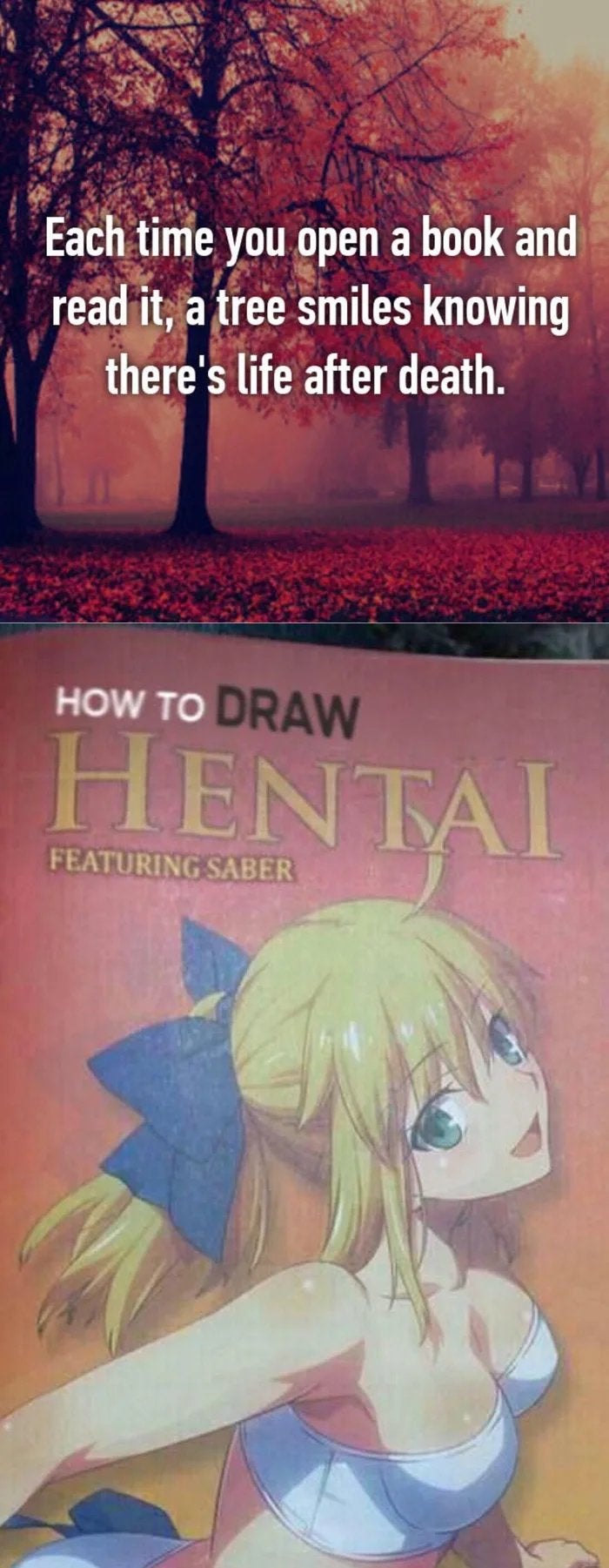 Now listen here you little shit animememes