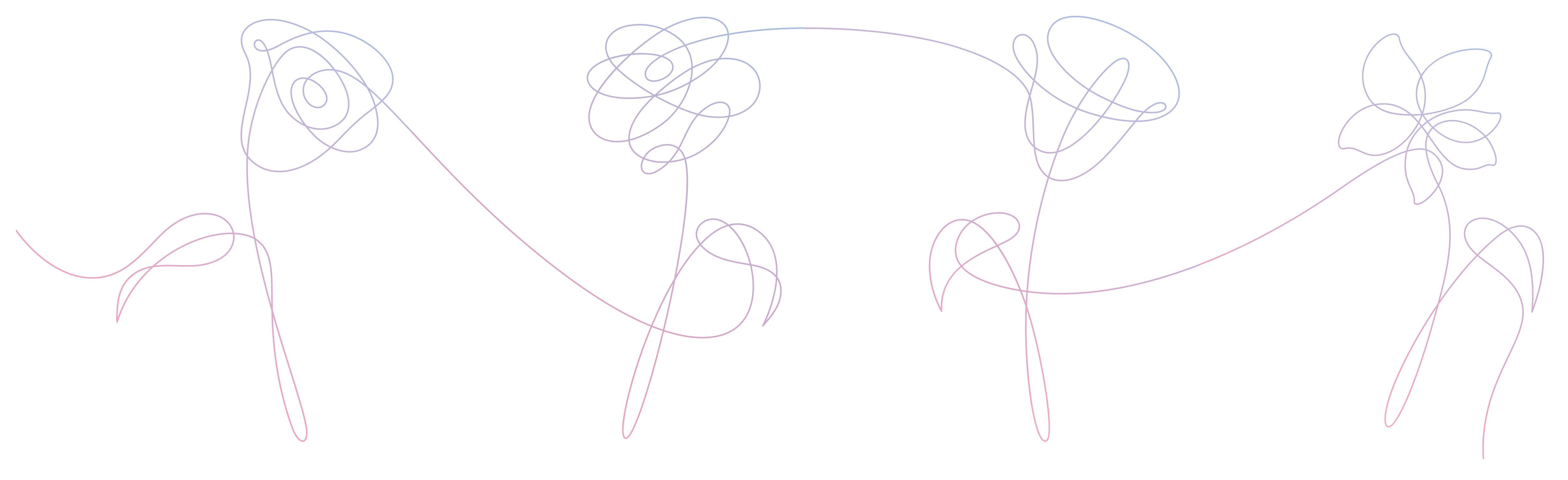 the flowers from each album version connect together r/bangtan