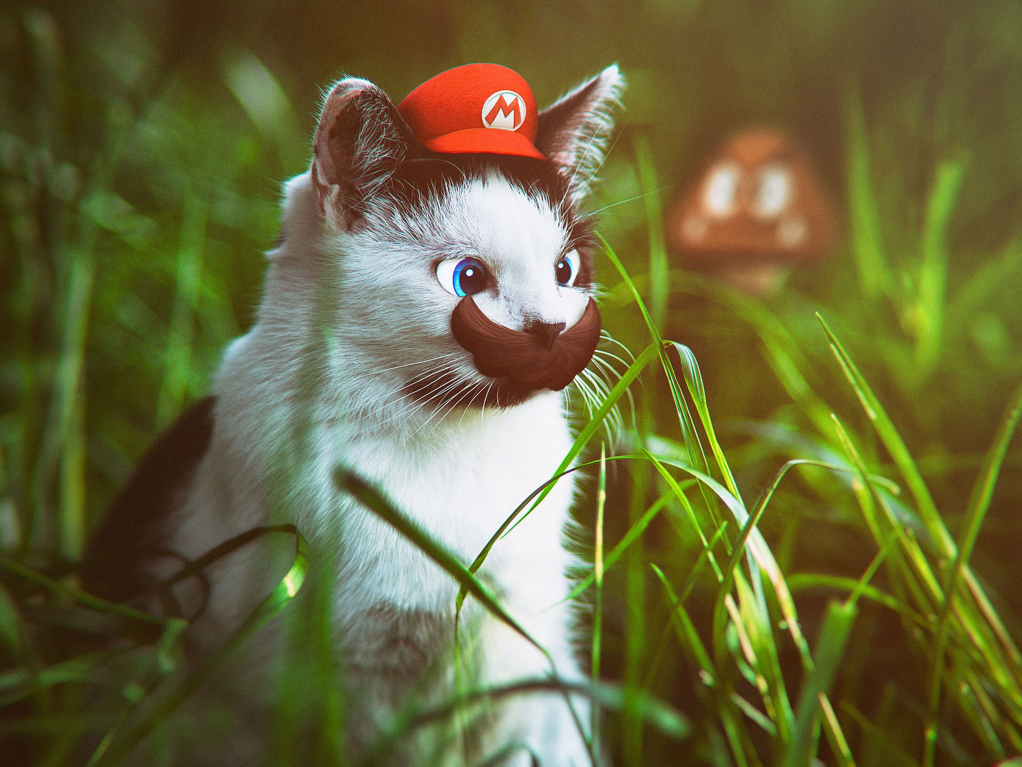 My cat acts strange lately... gaming