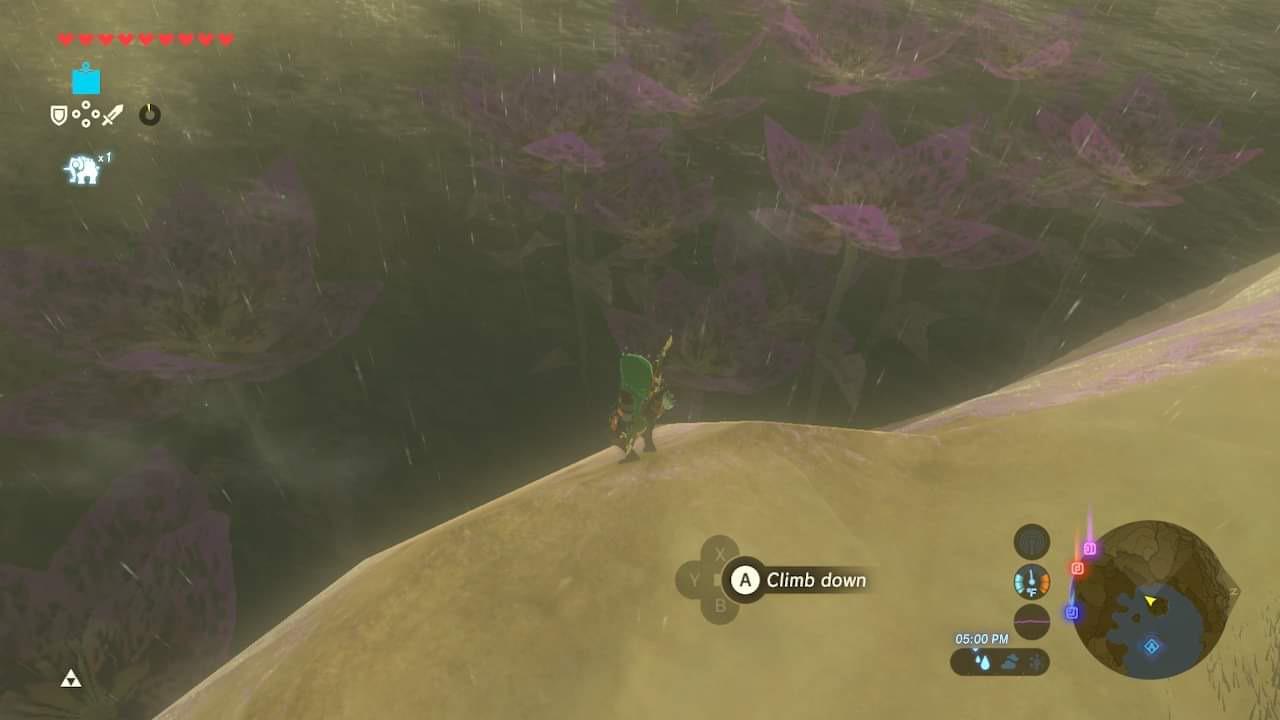 [BOTW] I noticed for the first time today that there are giant flowers