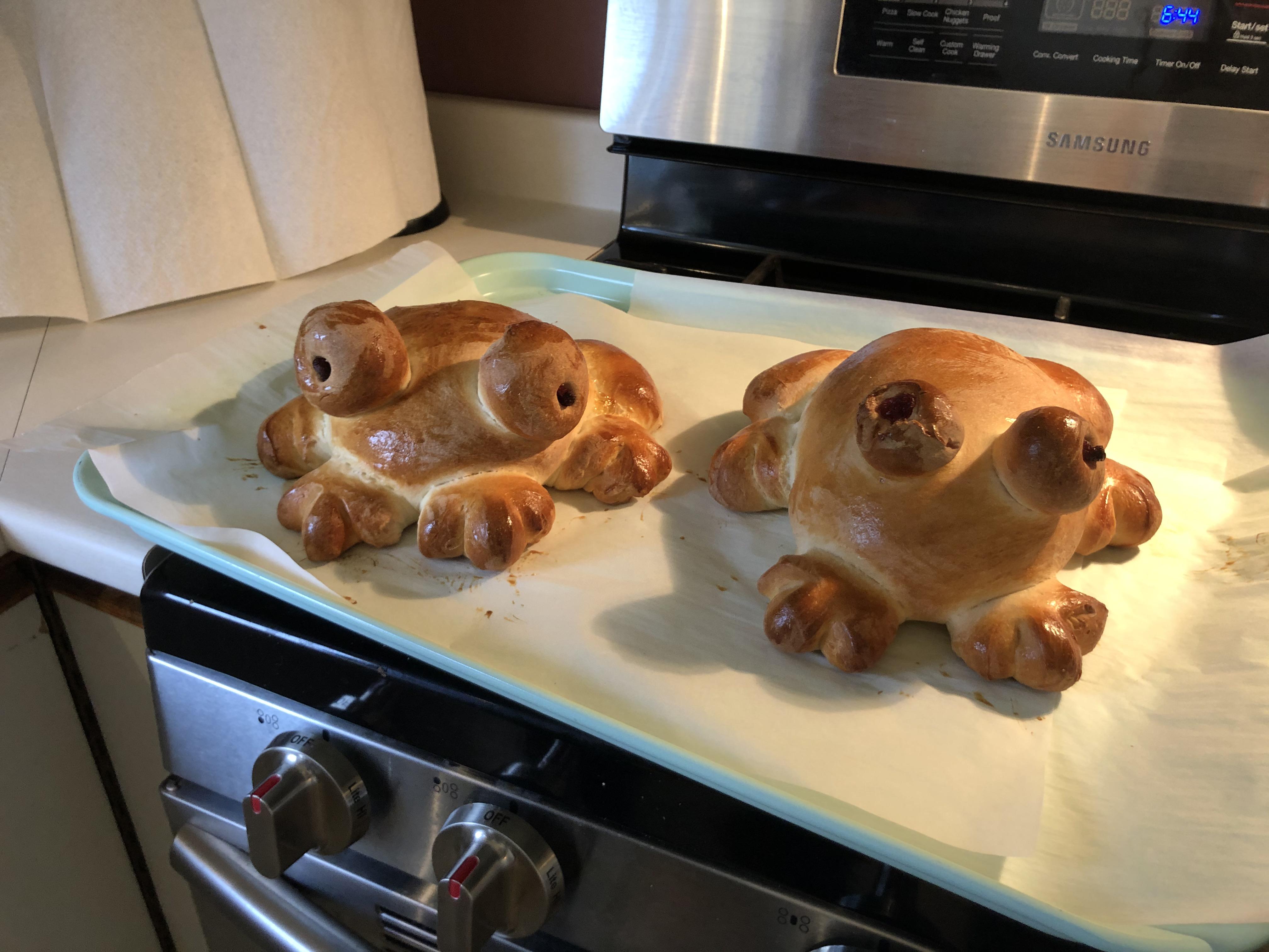 [Homemade] Loaves of bread shaped like frogs! r/food