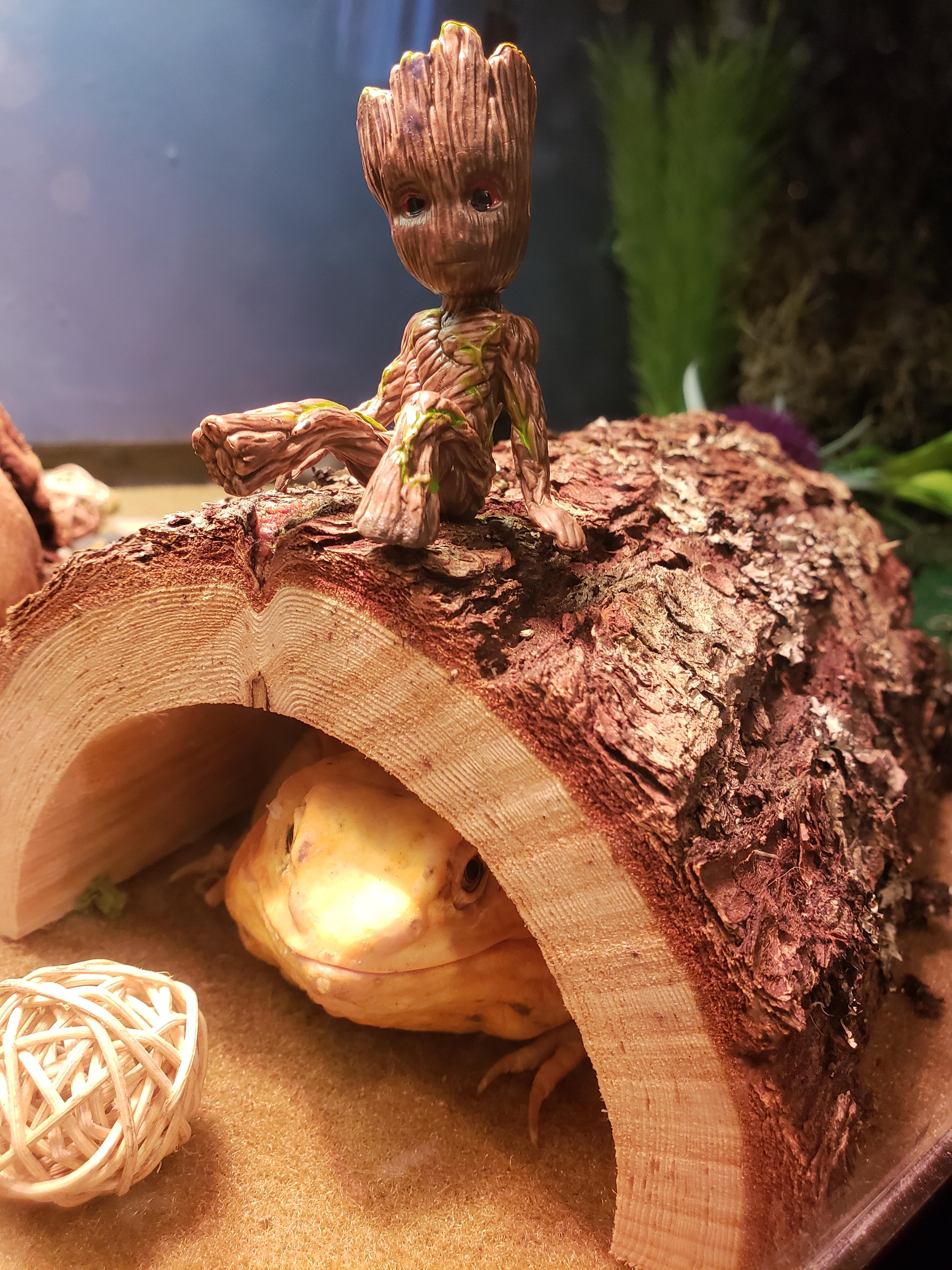 So I know it's not true, but I have my own beard.