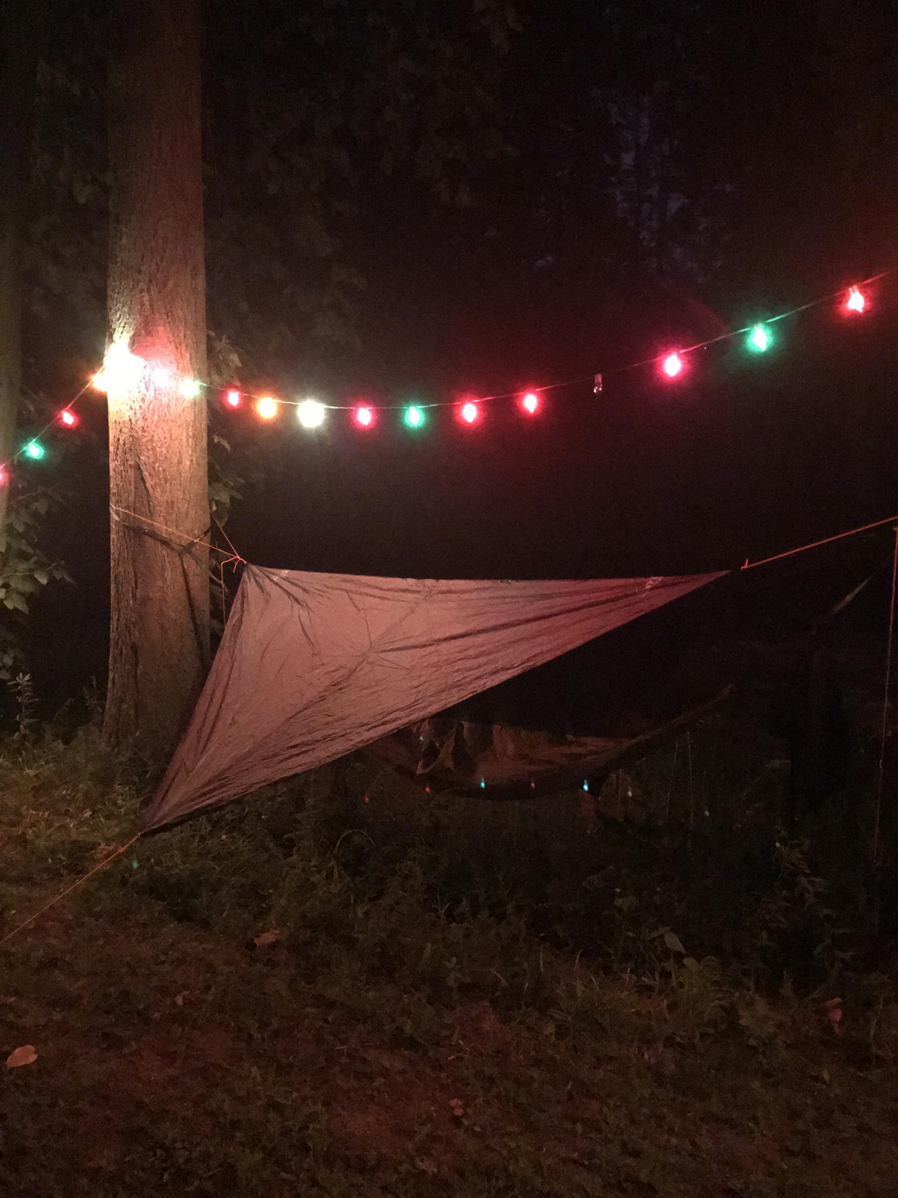 The lights give it a real Charlie Brown Christmas feel. r/Hammocks
