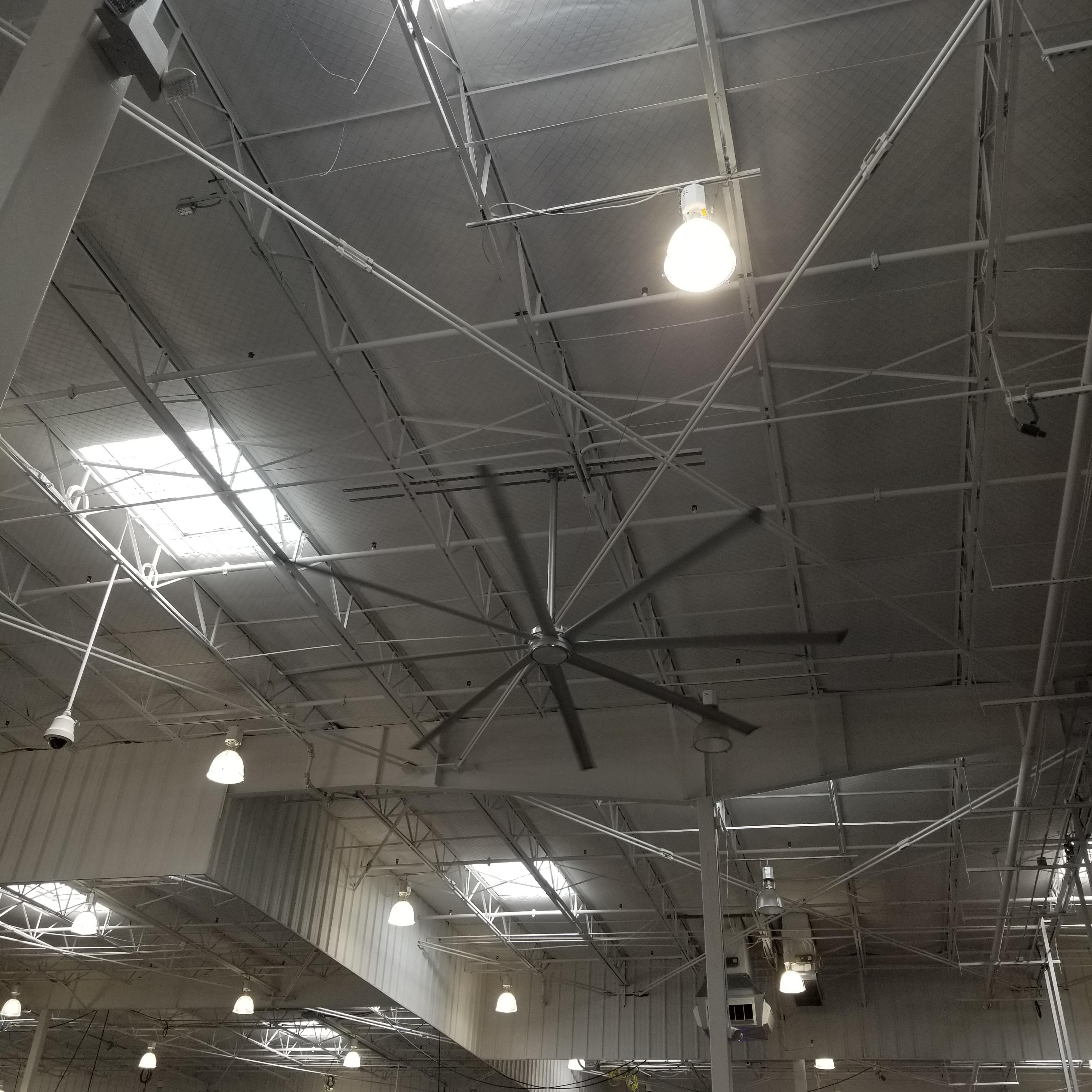 This massive fan at Costco. r/AbsoluteUnits