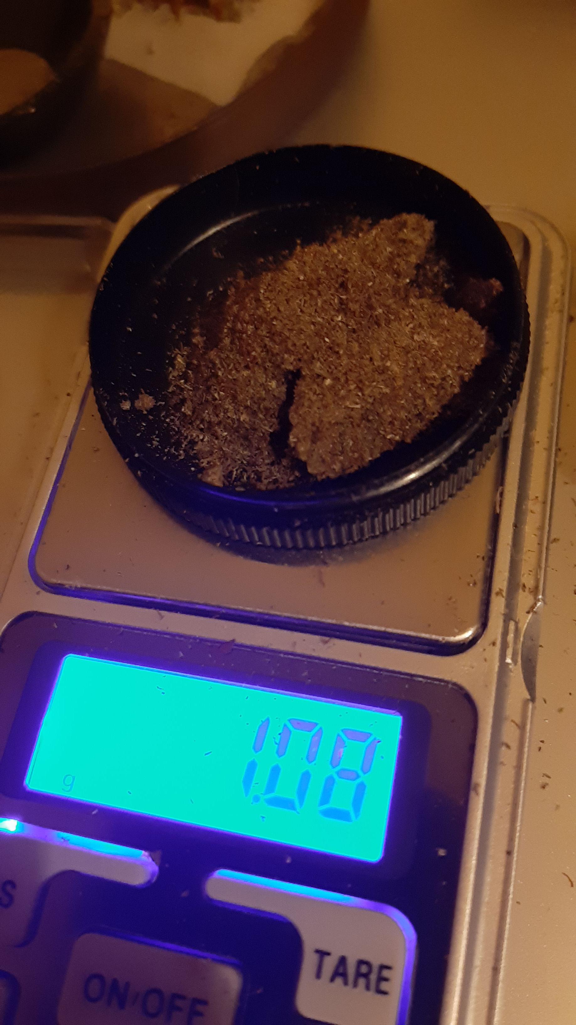 Hey fellow ents, is this a lot? What is the most kief you've ever