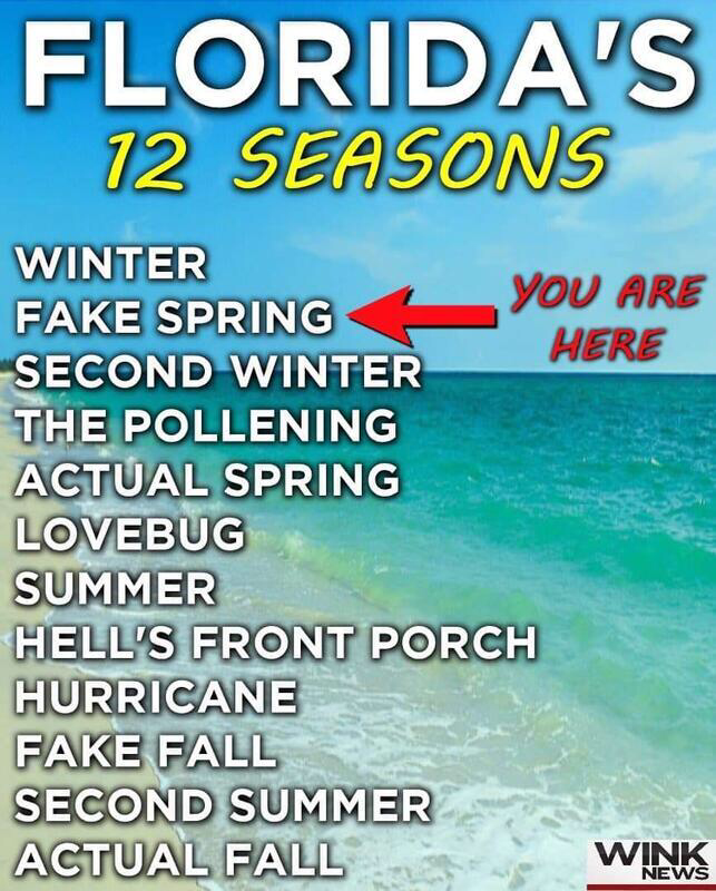 Florida seasons. r/florida