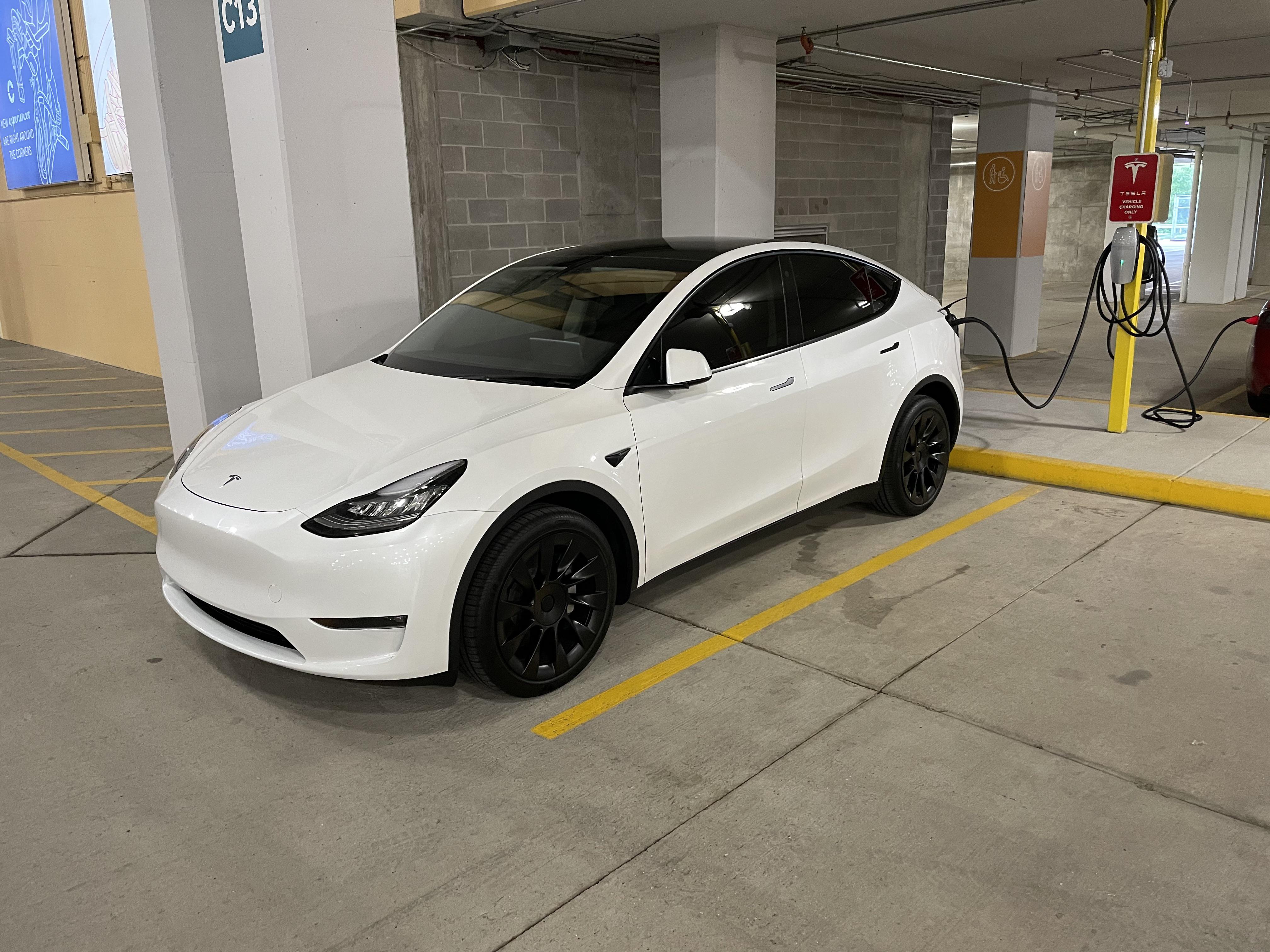 Free charging via PlugShare r/ModelY