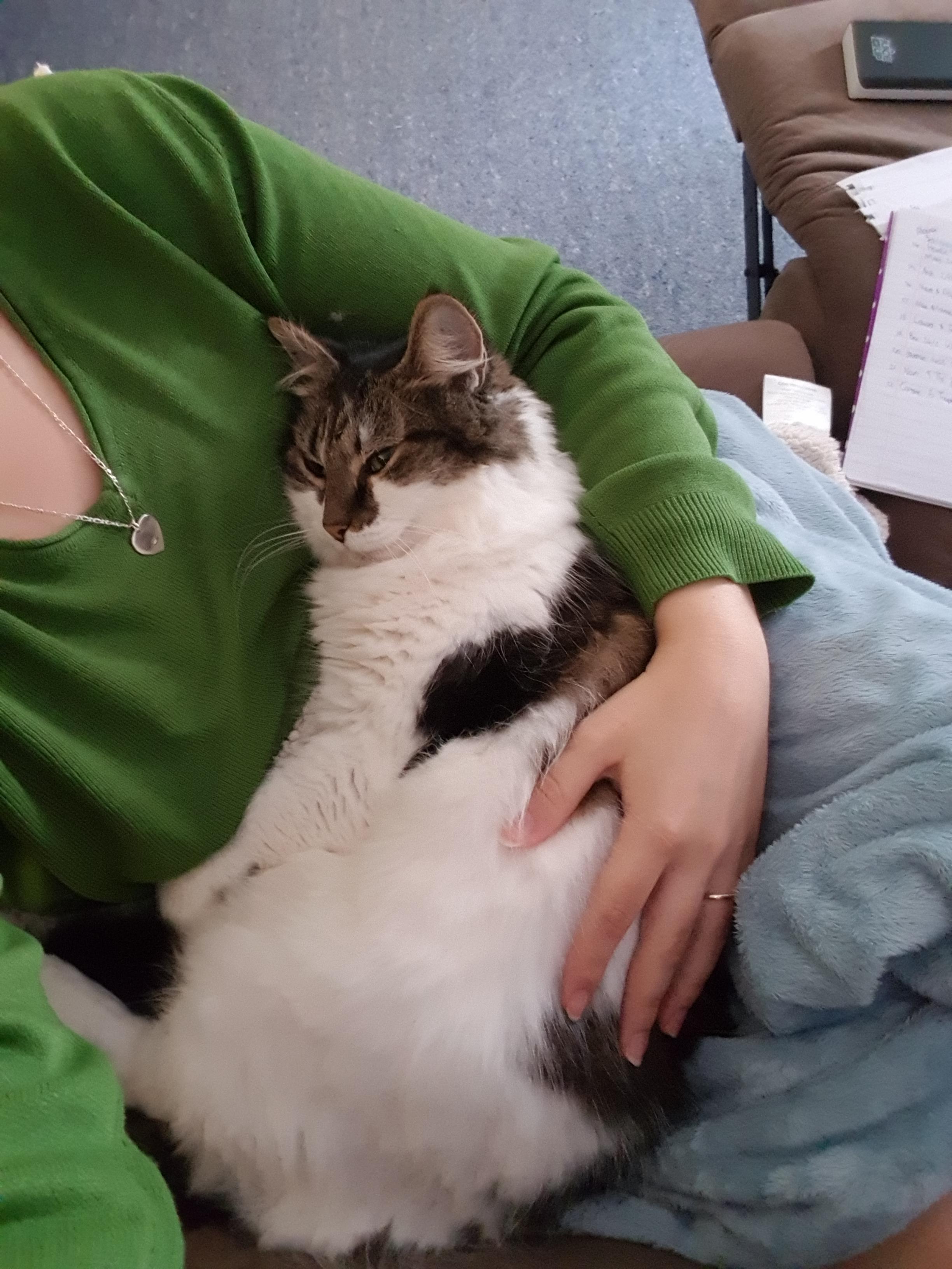 It baffles me why her name is Baby 🤔 r/aww