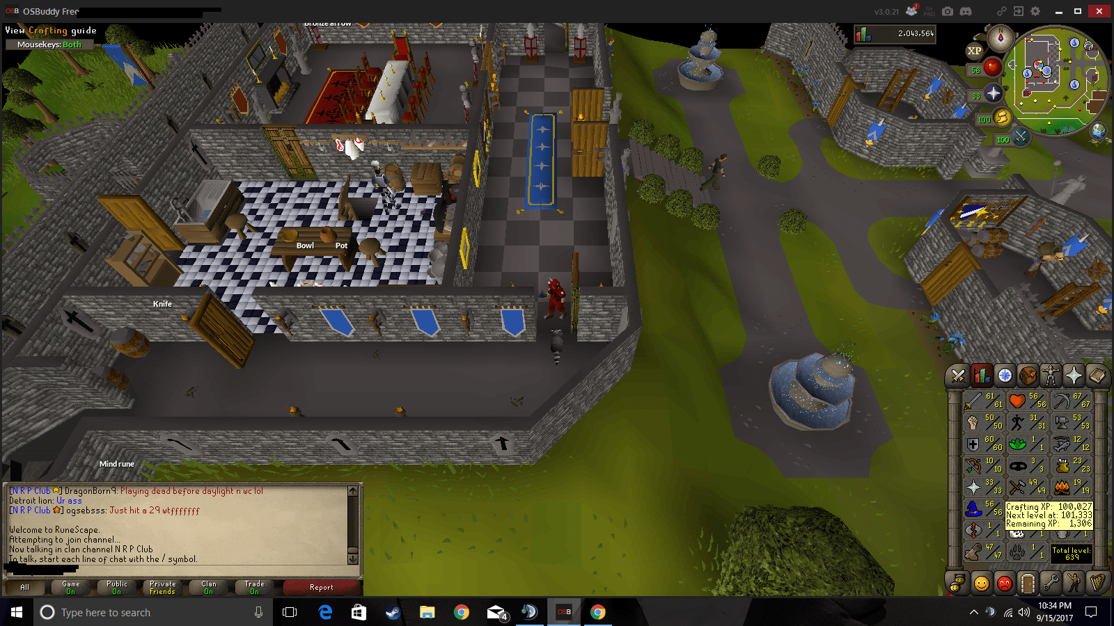 Level 3 Thieving, Rocky pet r/2007scape