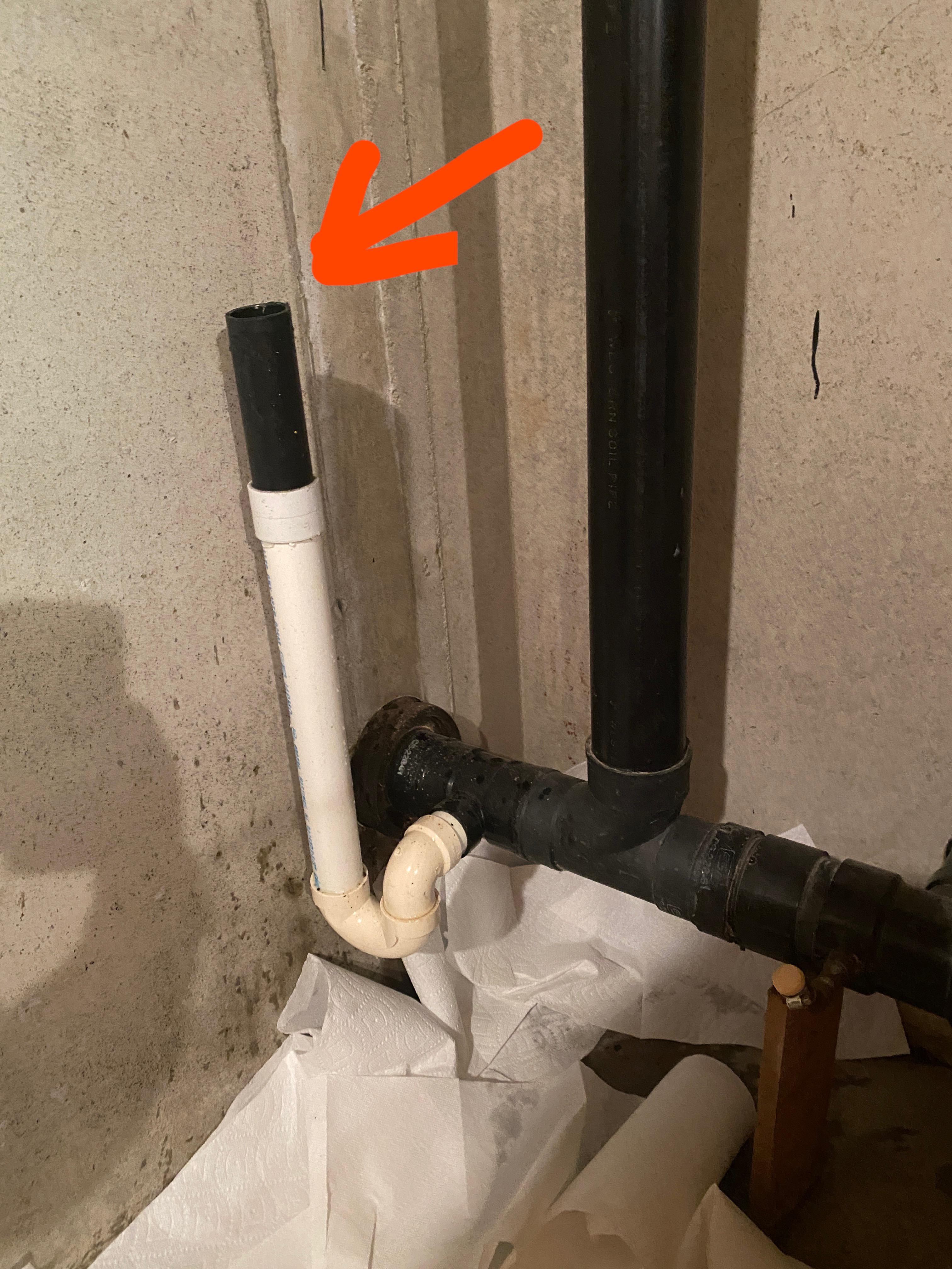 Flushed the toilet, liquid sprayed out of this pvc in the basement