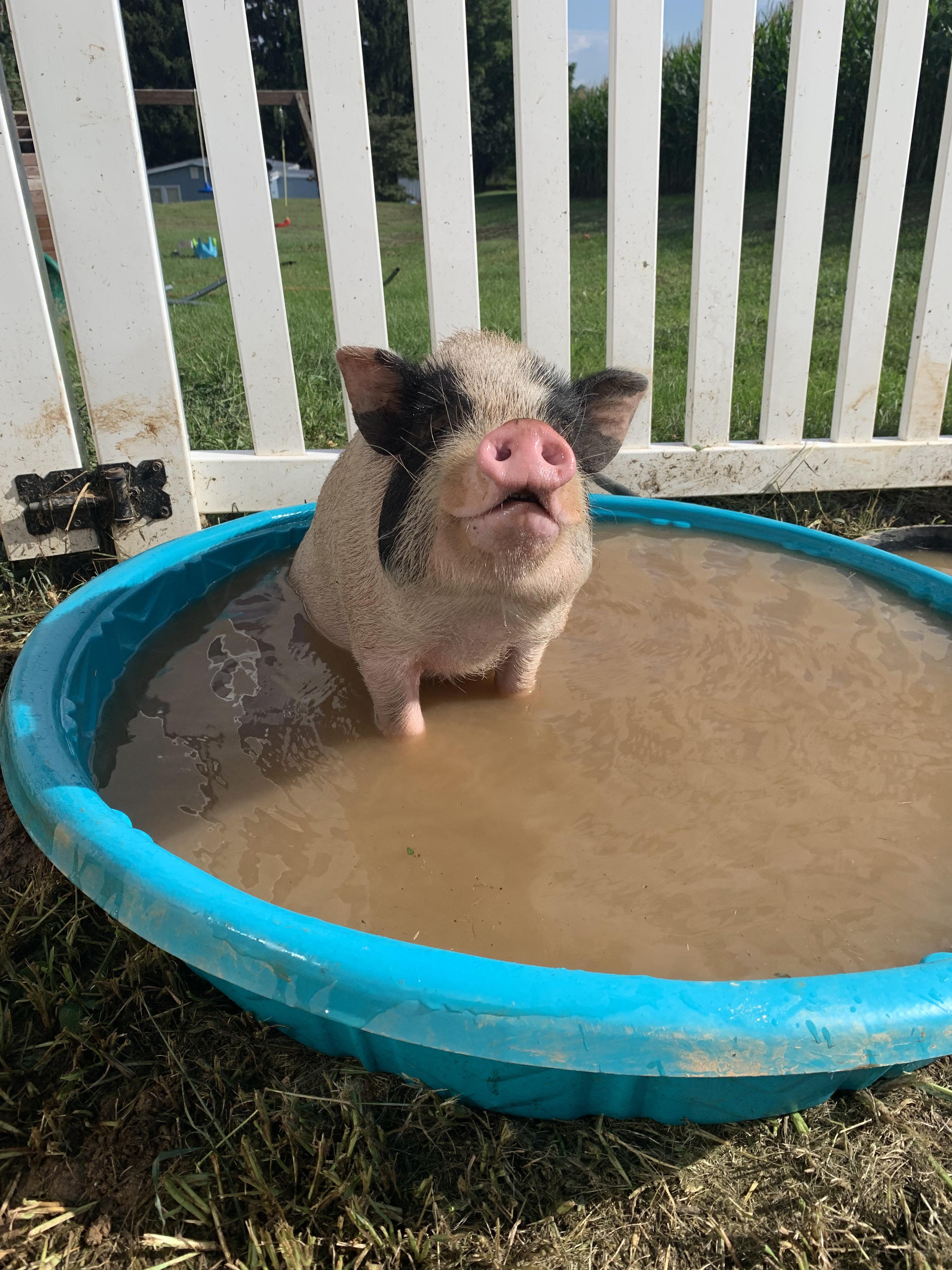 It’s so cold here in Pa. Dreaming about warmer weather and happier