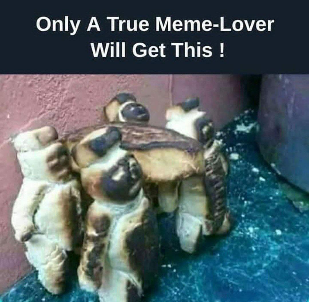 Only a meme lover will understand ComedyCemetery